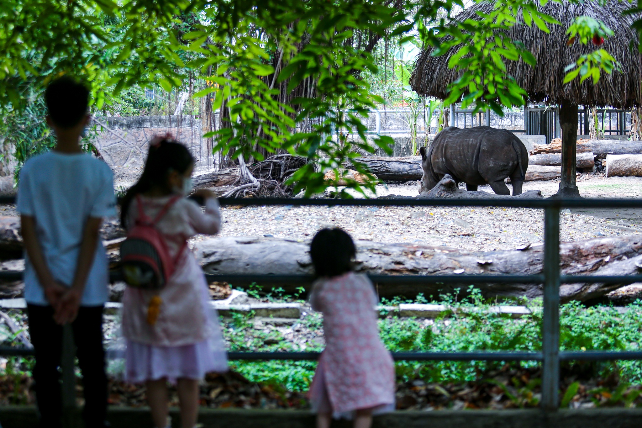 Thao Cam Vien vang ve ngay Tet anh 7