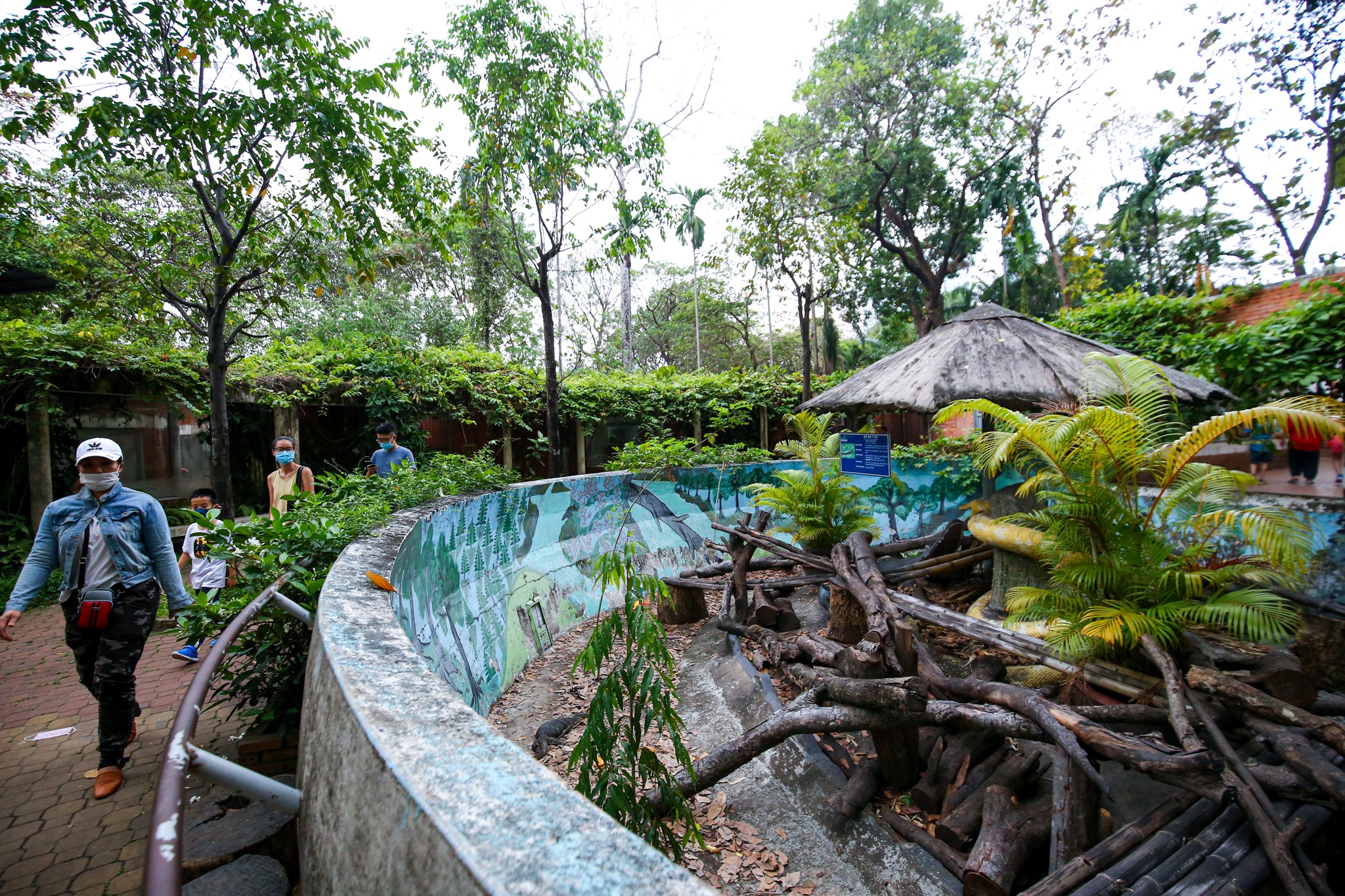 Thao Cam Vien vang ve ngay Tet anh 8