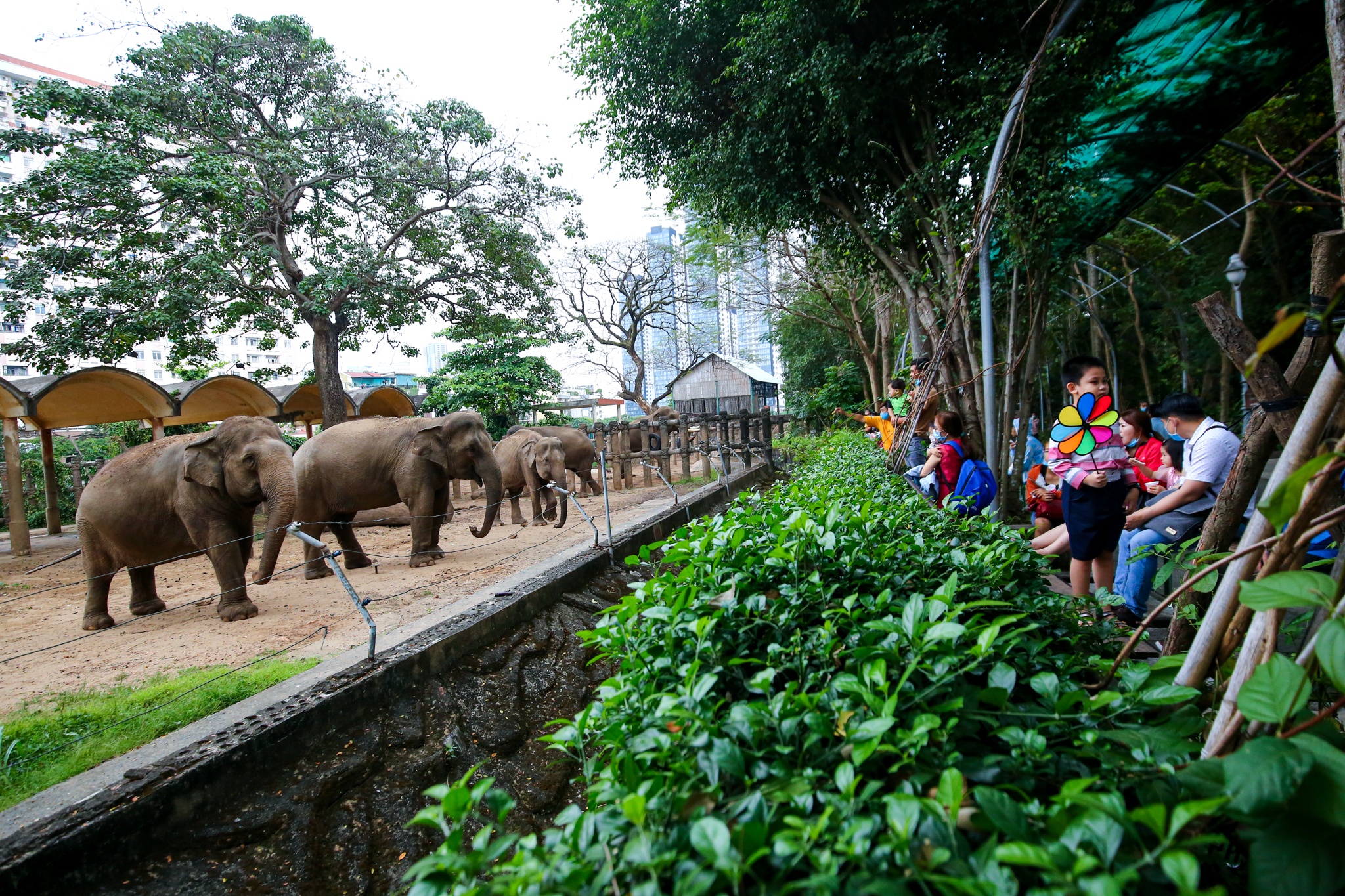 Thao Cam Vien vang ve ngay Tet anh 10