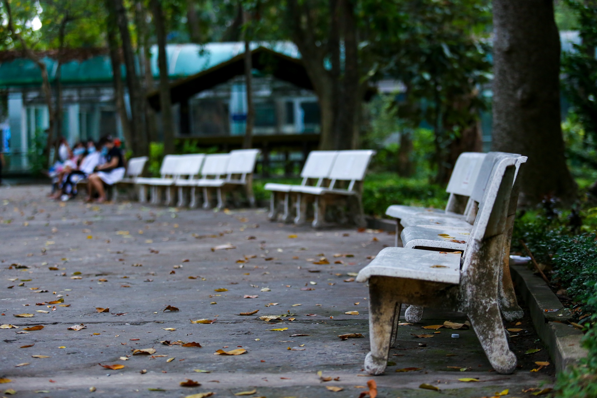 Thao Cam Vien vang ve ngay Tet anh 4