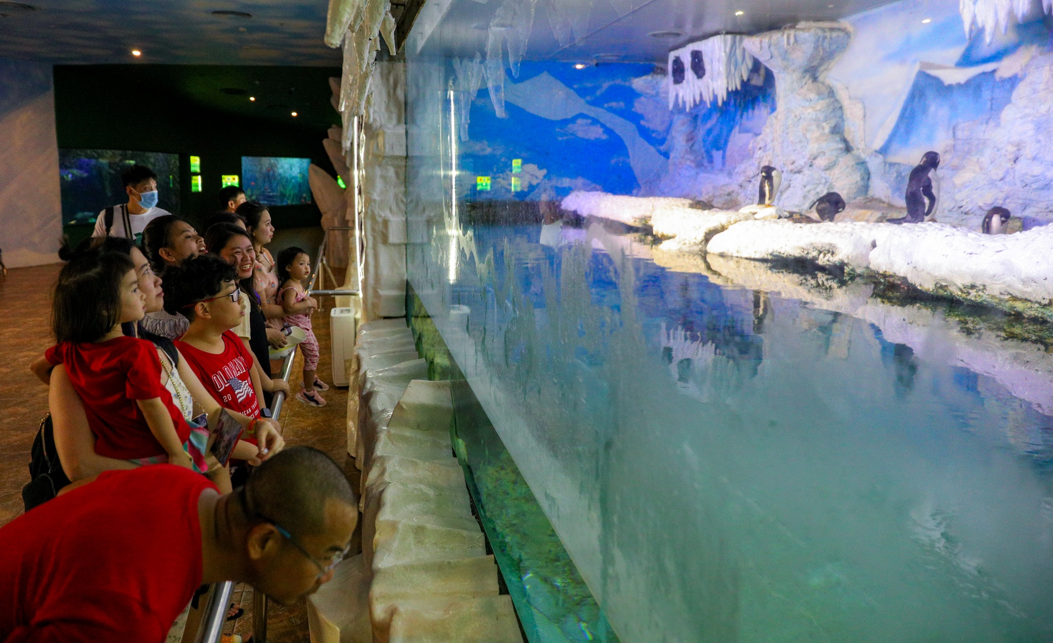 Khu vui choi tai Phu Quoc dong khach tro lai anh 8