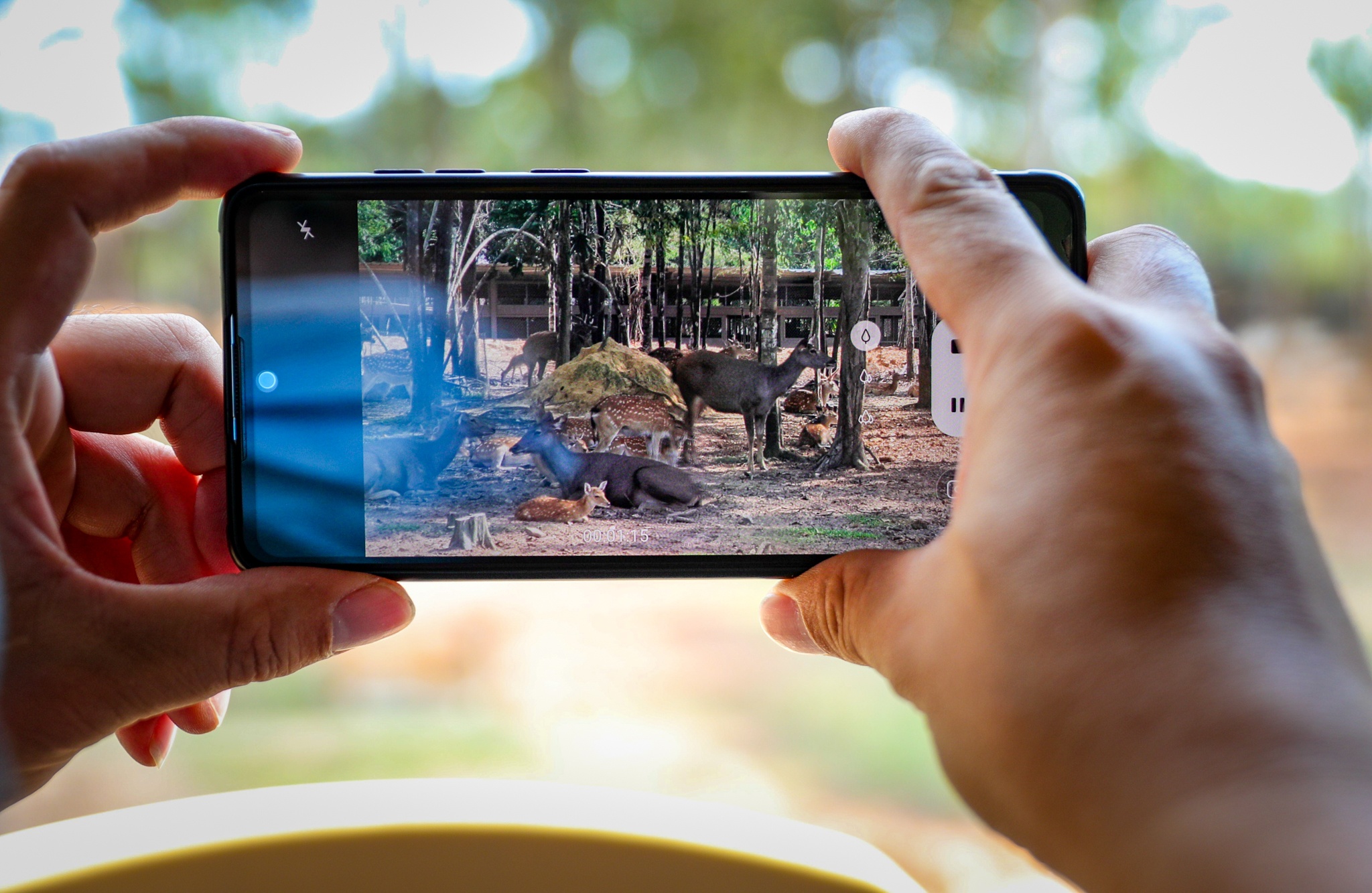 Khu vui choi tai Phu Quoc dong khach tro lai anh 4