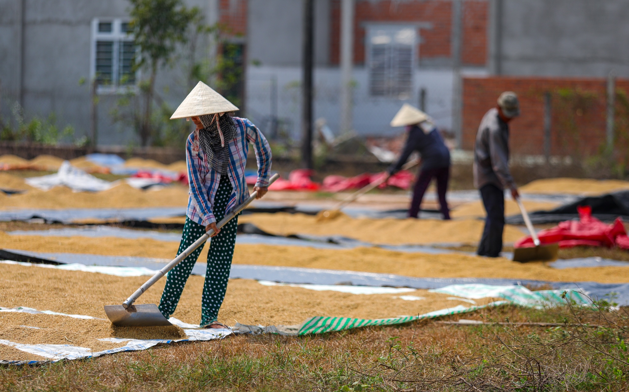 Hien trang Cu Chi truoc khi len quan anh 14