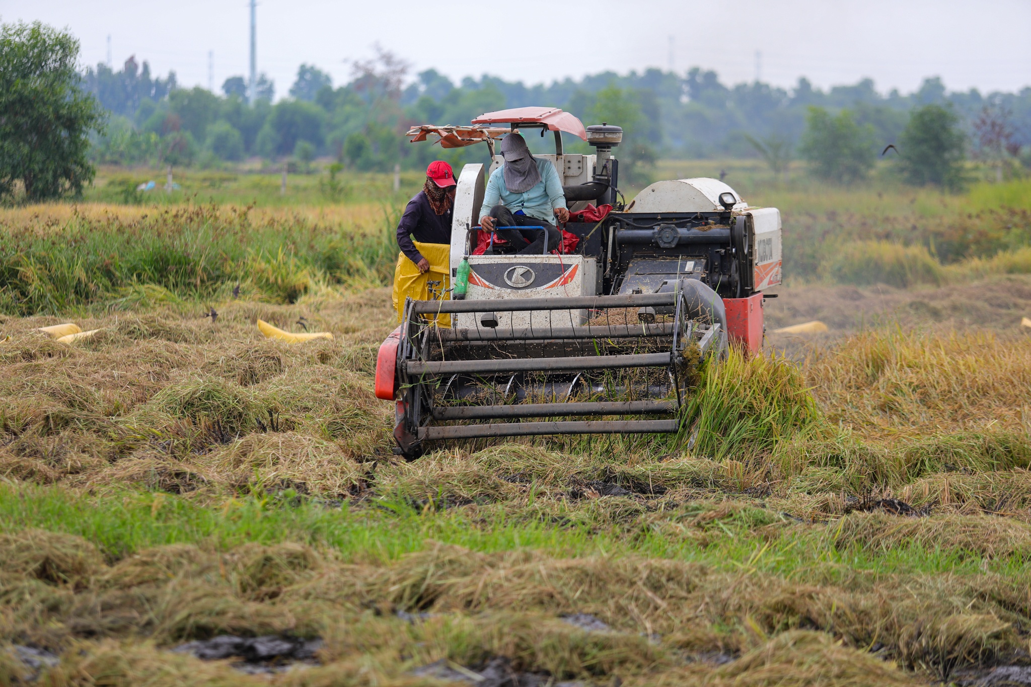 Hoc Mon truoc de xuat len quan anh 17