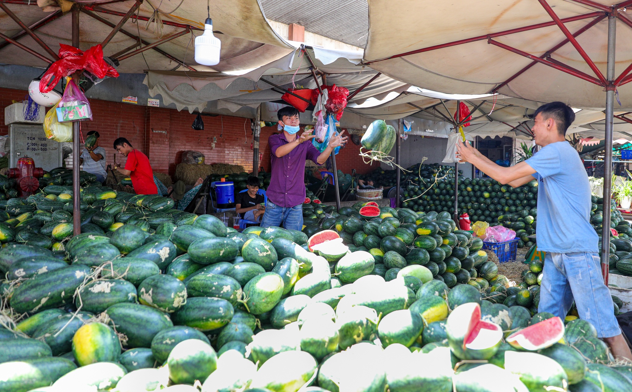 Hoc Mon truoc de xuat len quan anh 11