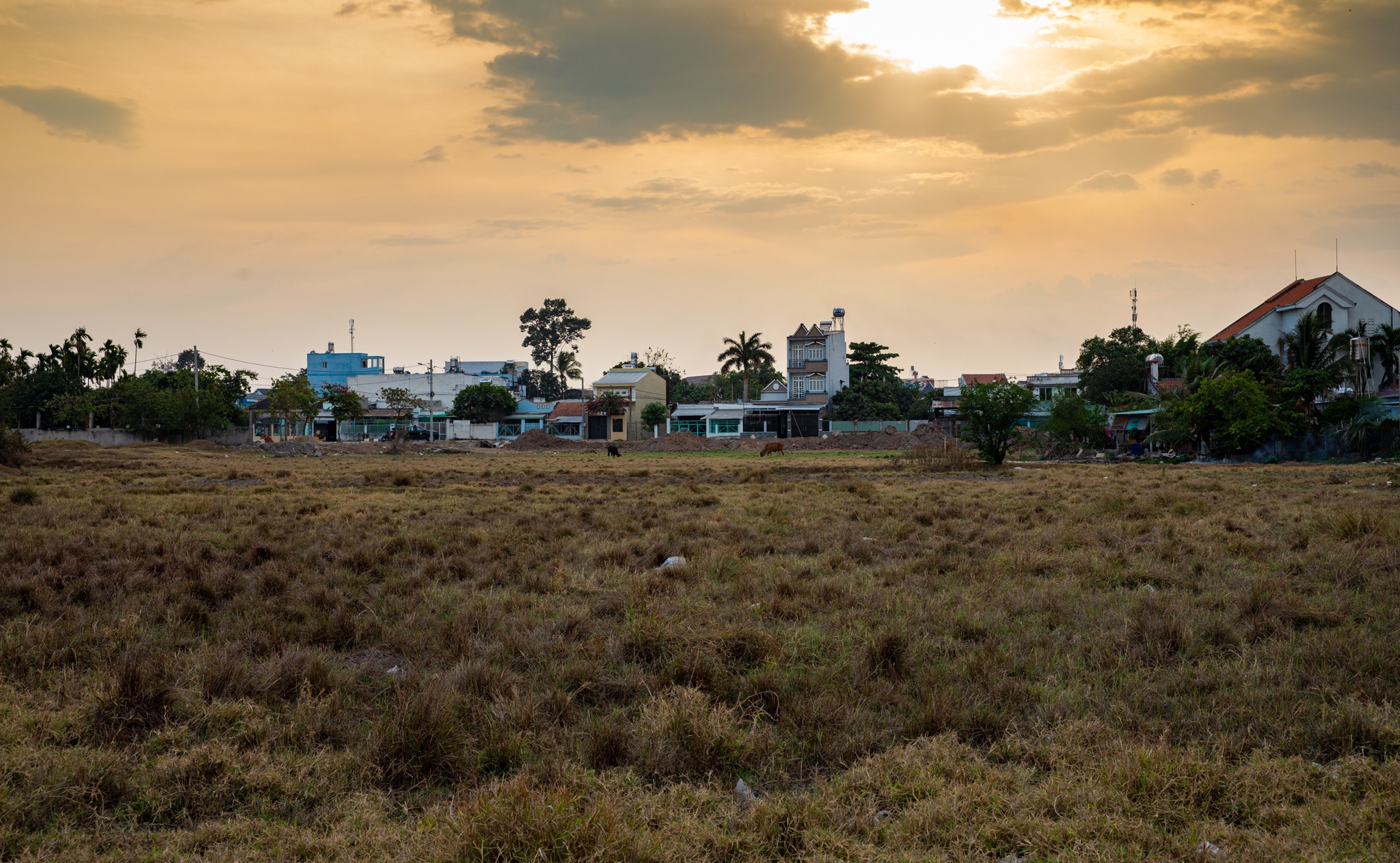 Hoc Mon truoc de xuat len quan anh 16