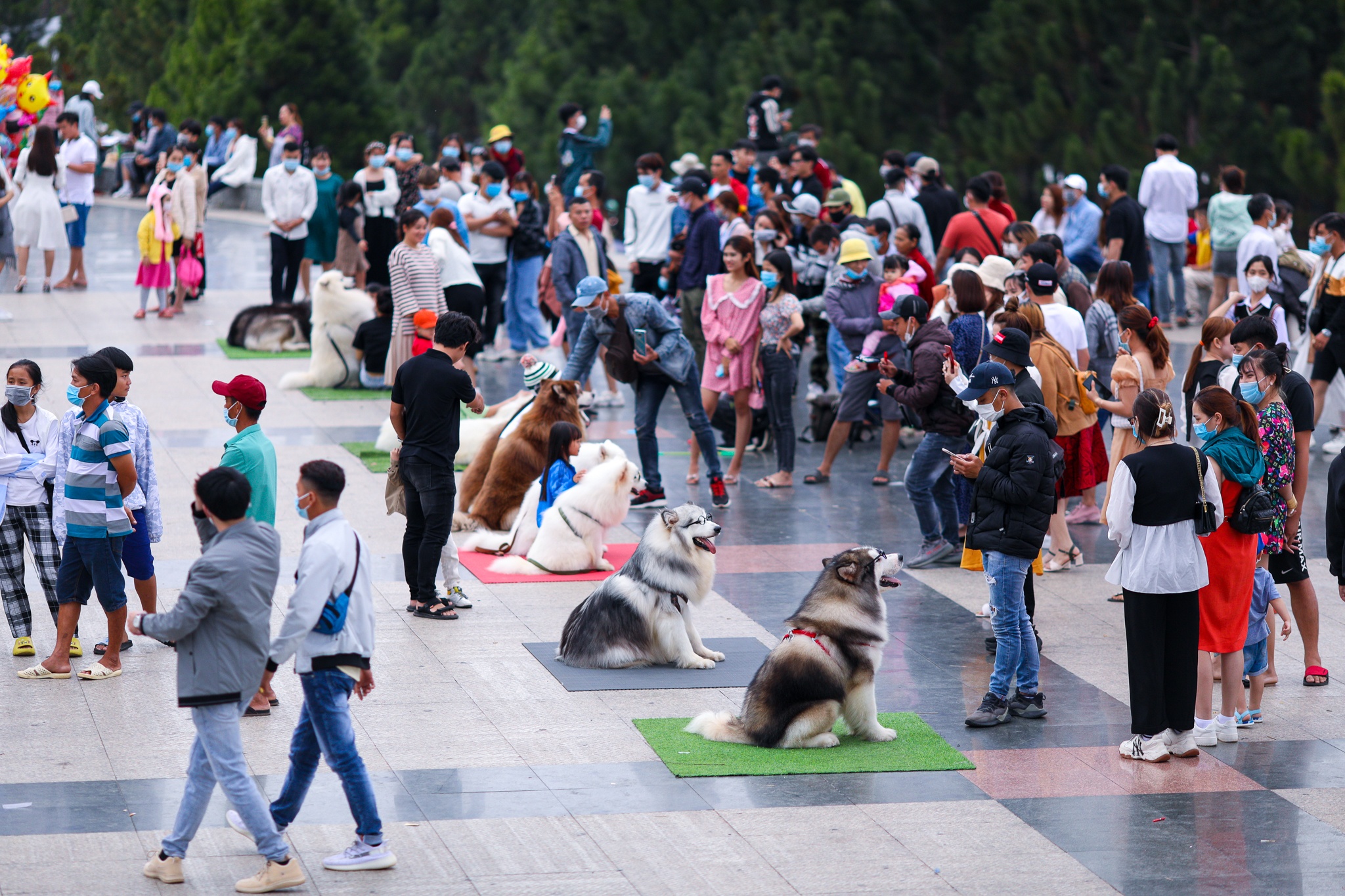 Duong xa thong thoang tai Da Lat trong dip le anh 9
