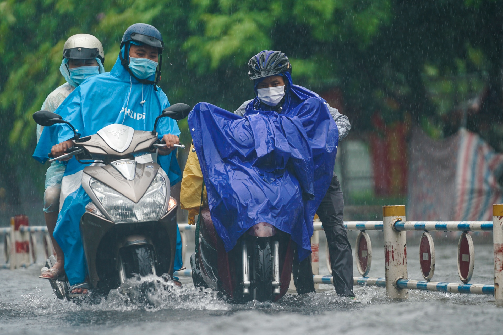 mua lon tai TP.HCM anh 1