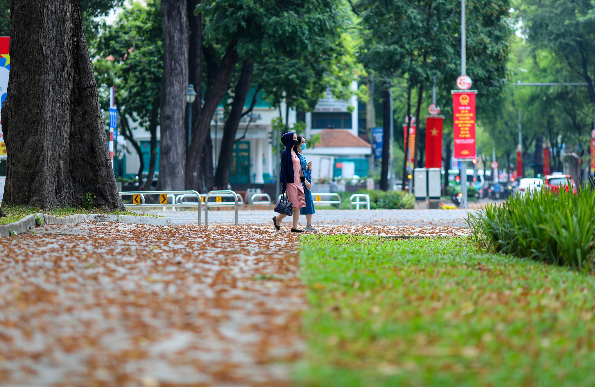 mua hoa cho roi o Sai Gon anh 25