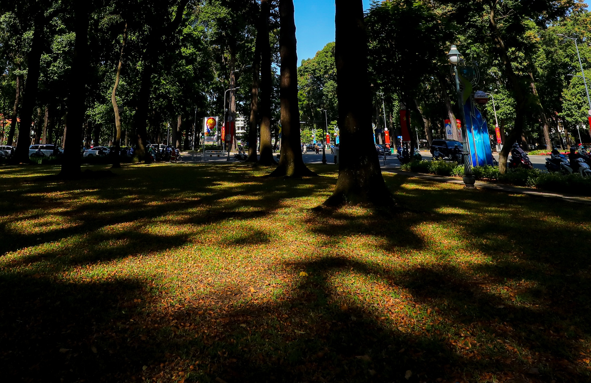 mua hoa cho roi o Sai Gon anh 20