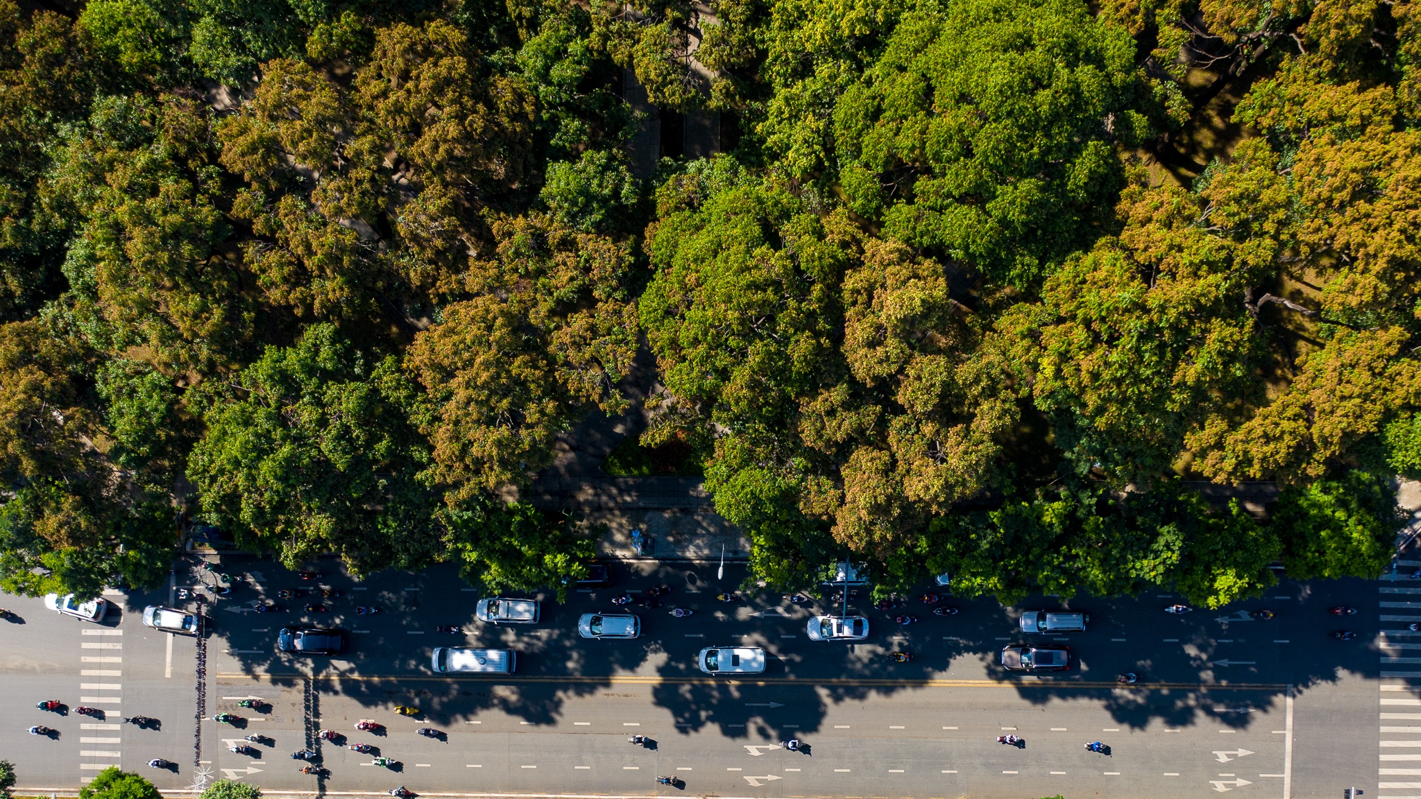 mua hoa cho roi o Sai Gon anh 19