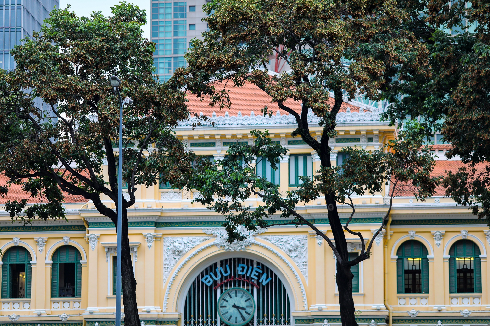 mua hoa cho roi o Sai Gon anh 12