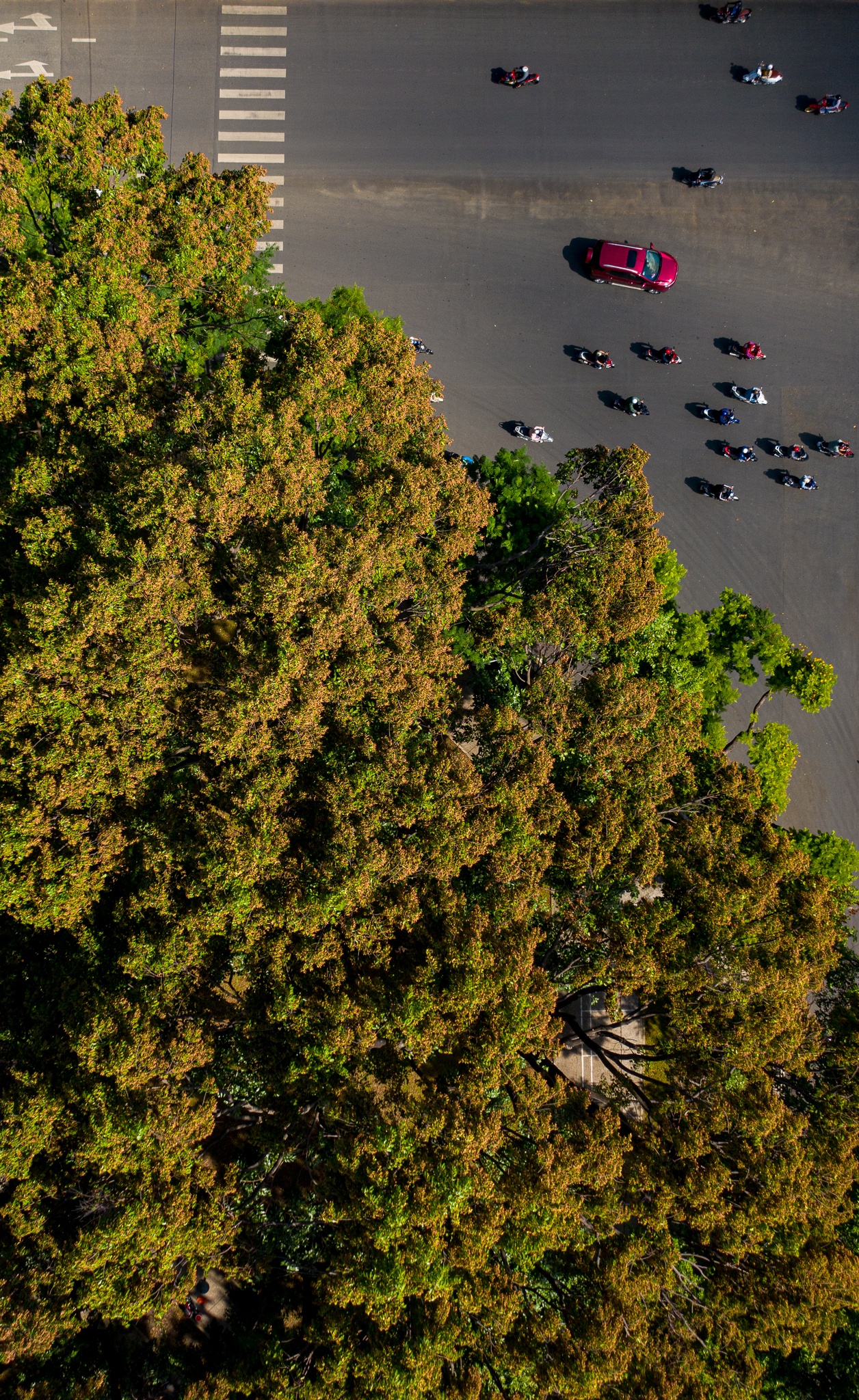 mua hoa cho roi o Sai Gon anh 4