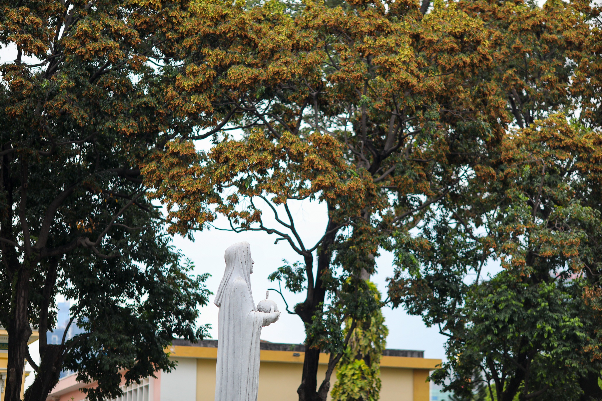 mua hoa cho roi o Sai Gon anh 13