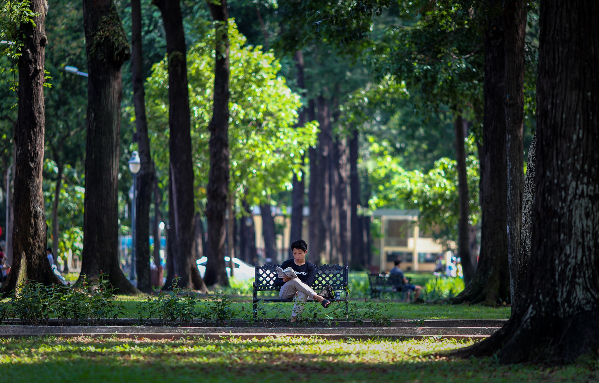 duong pho TP.HCM vang ve anh 7