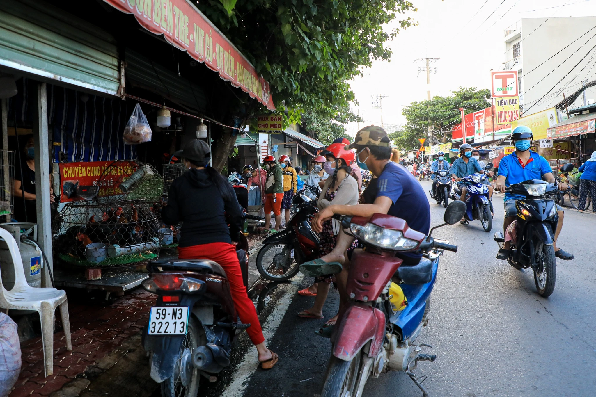 Cho tu phat dong nghit anh 7