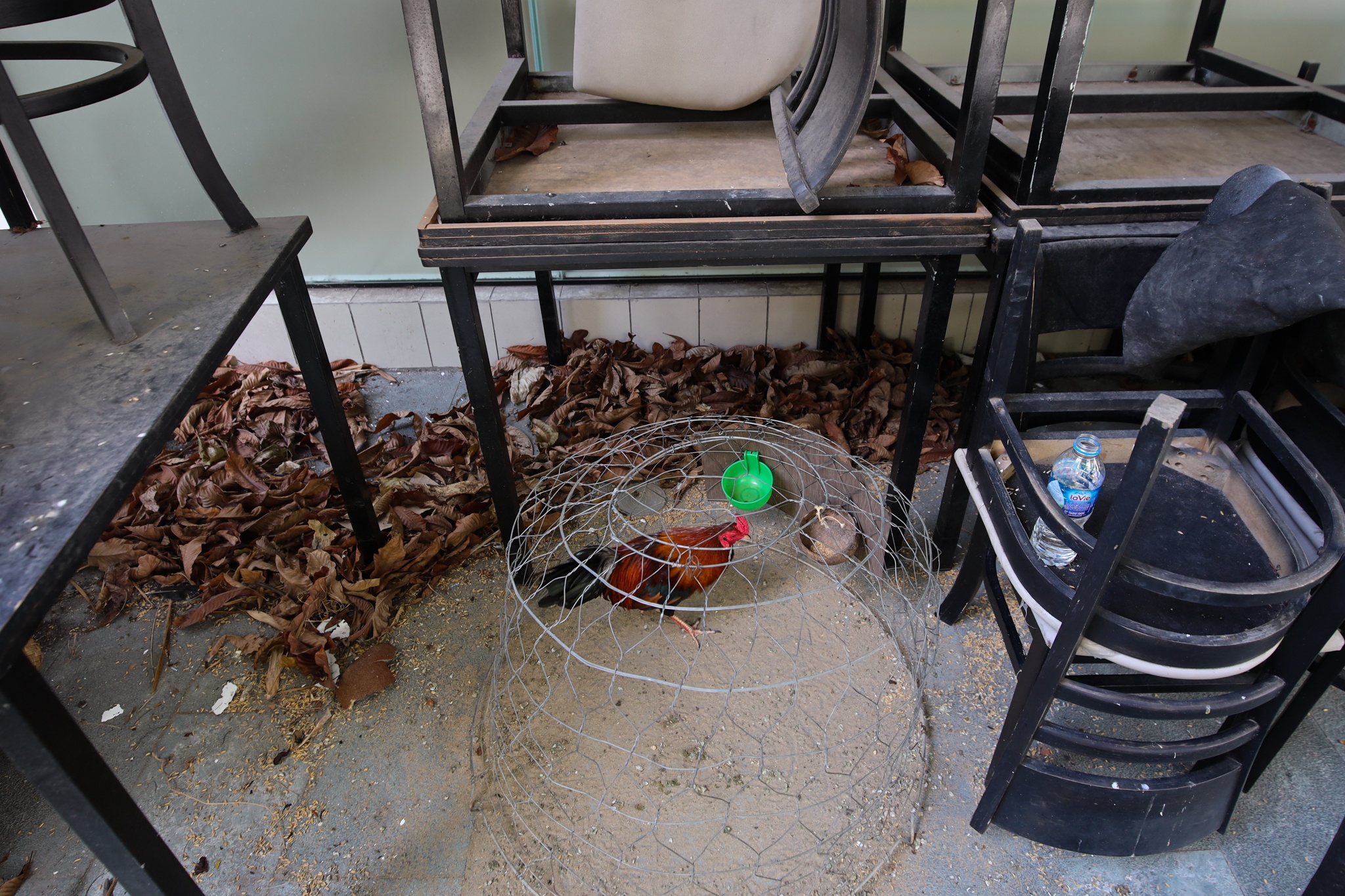 Hang quan dong cua truoc ngay thi diem mo cua quan 7 anh 3