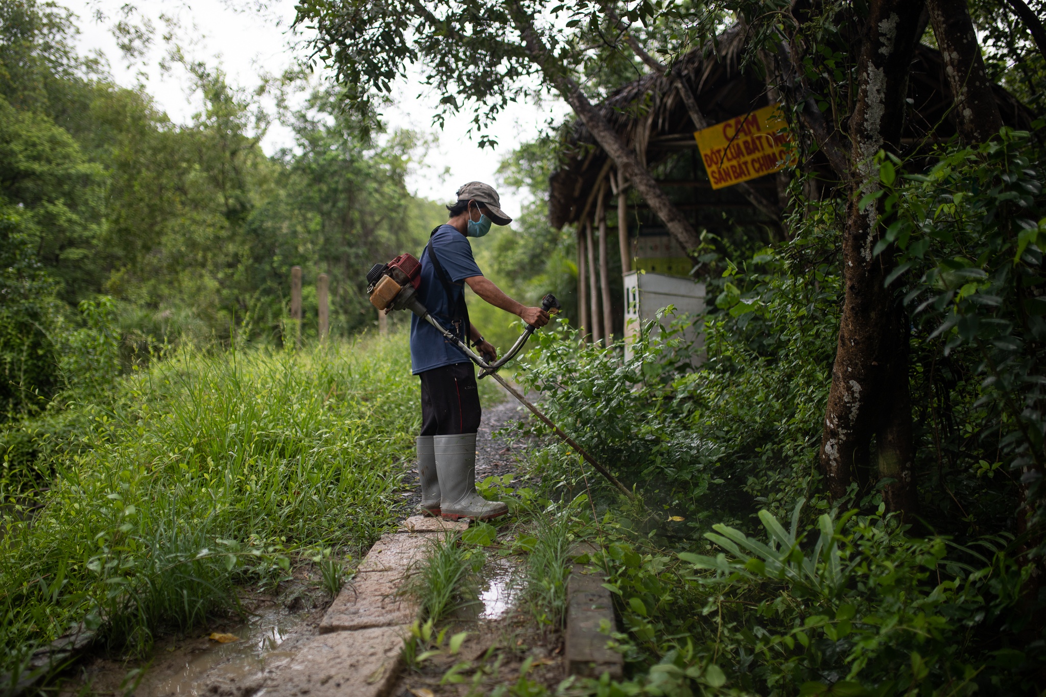 Cac diem du lich Can Gio bat dau don khach anh 1