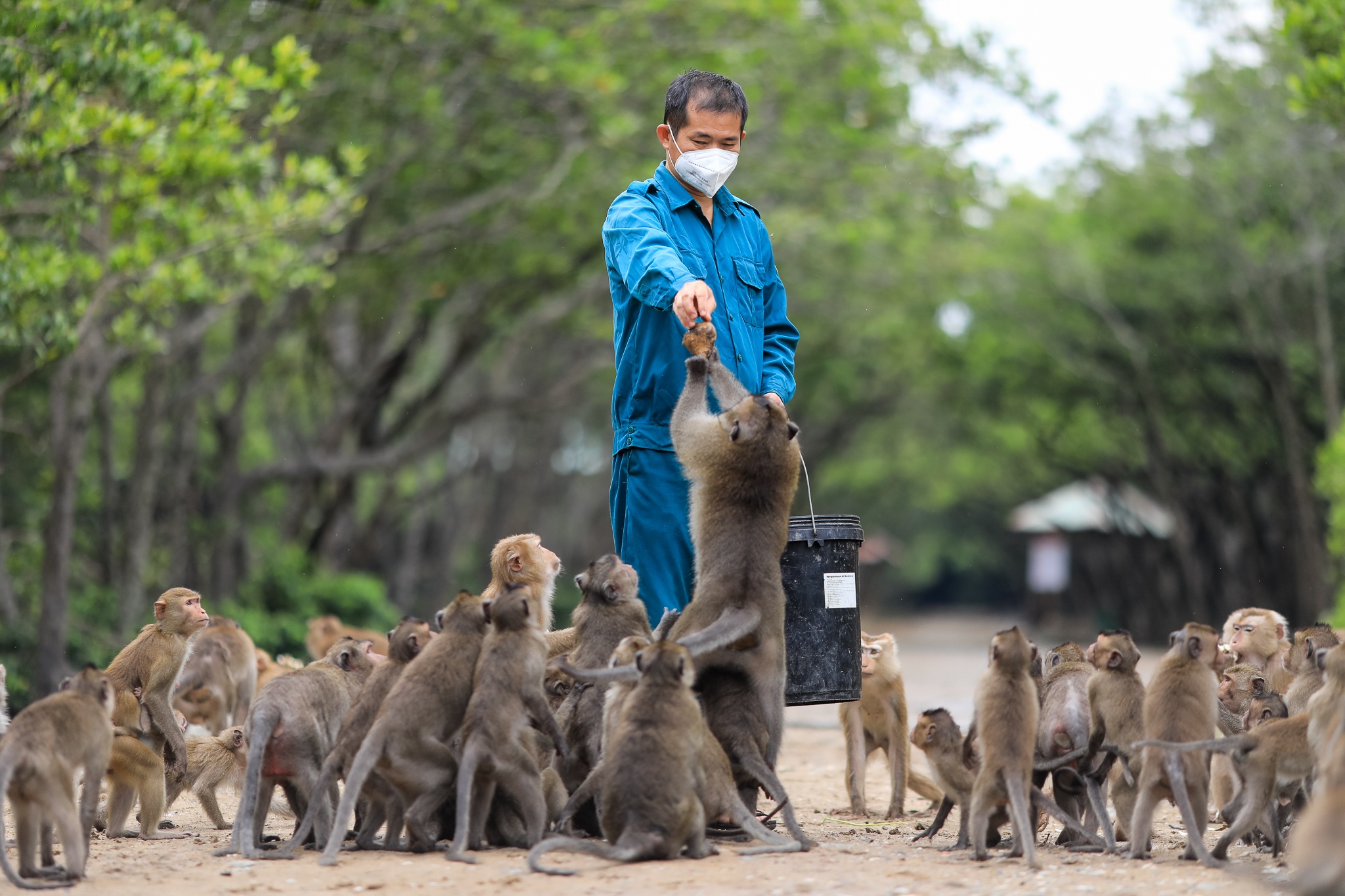 Cac diem du lich Can Gio bat dau don khach anh 3