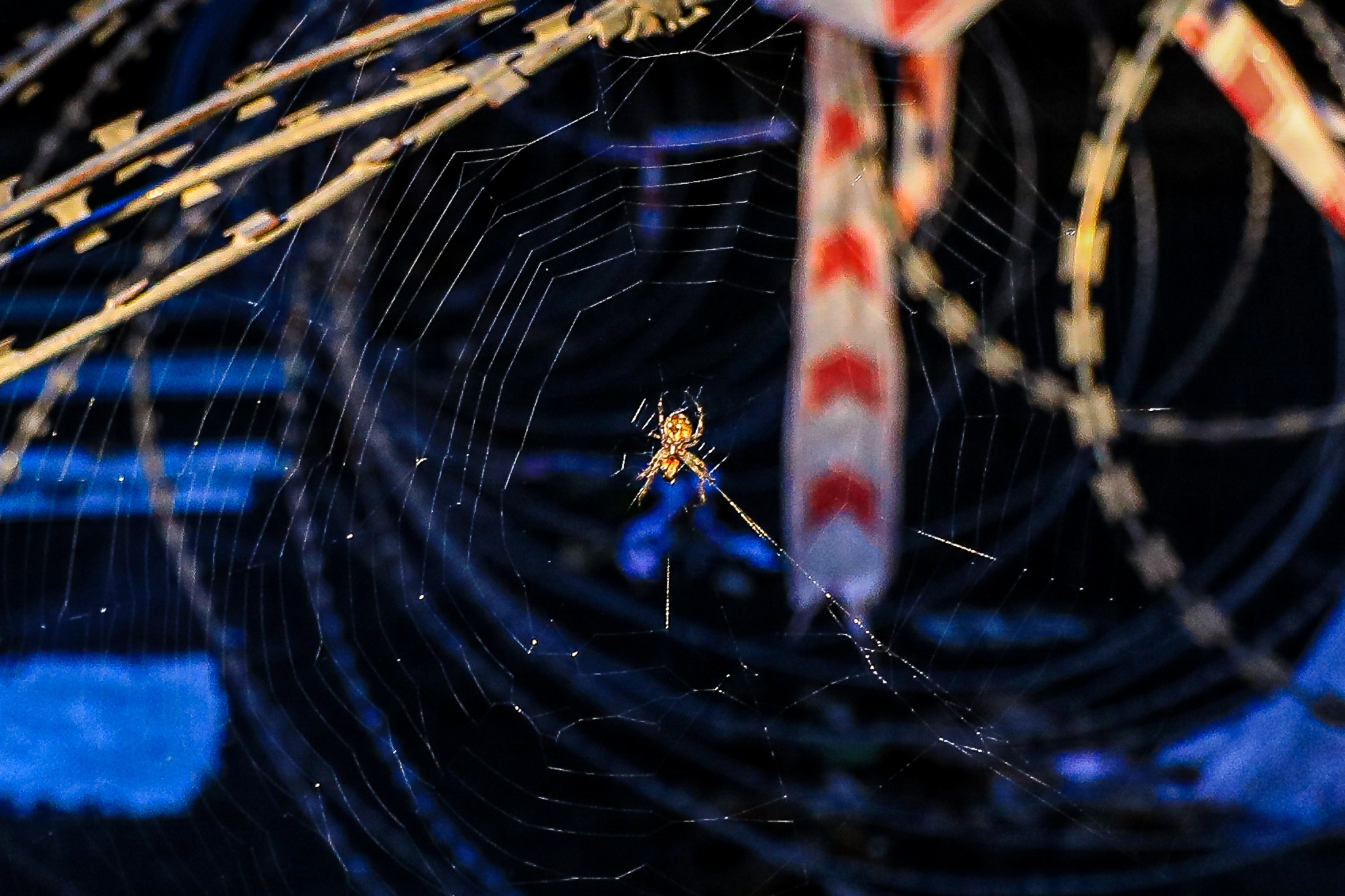 Cac chot chan 'ky di' tai TP.HCM anh 18