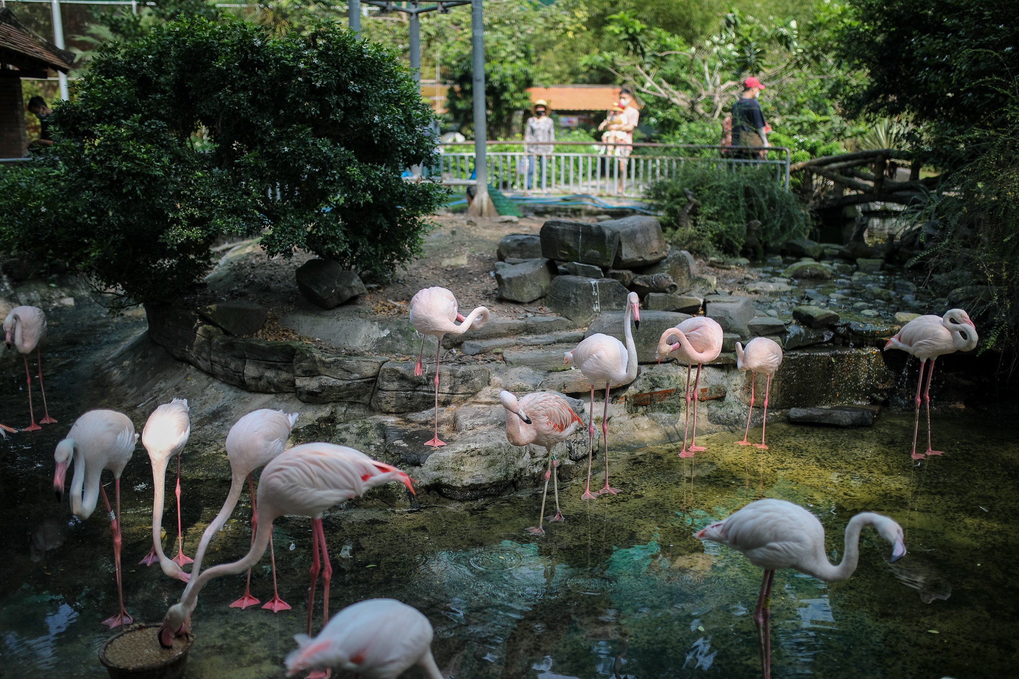 Thao cam vien mo cua tro lai anh 5