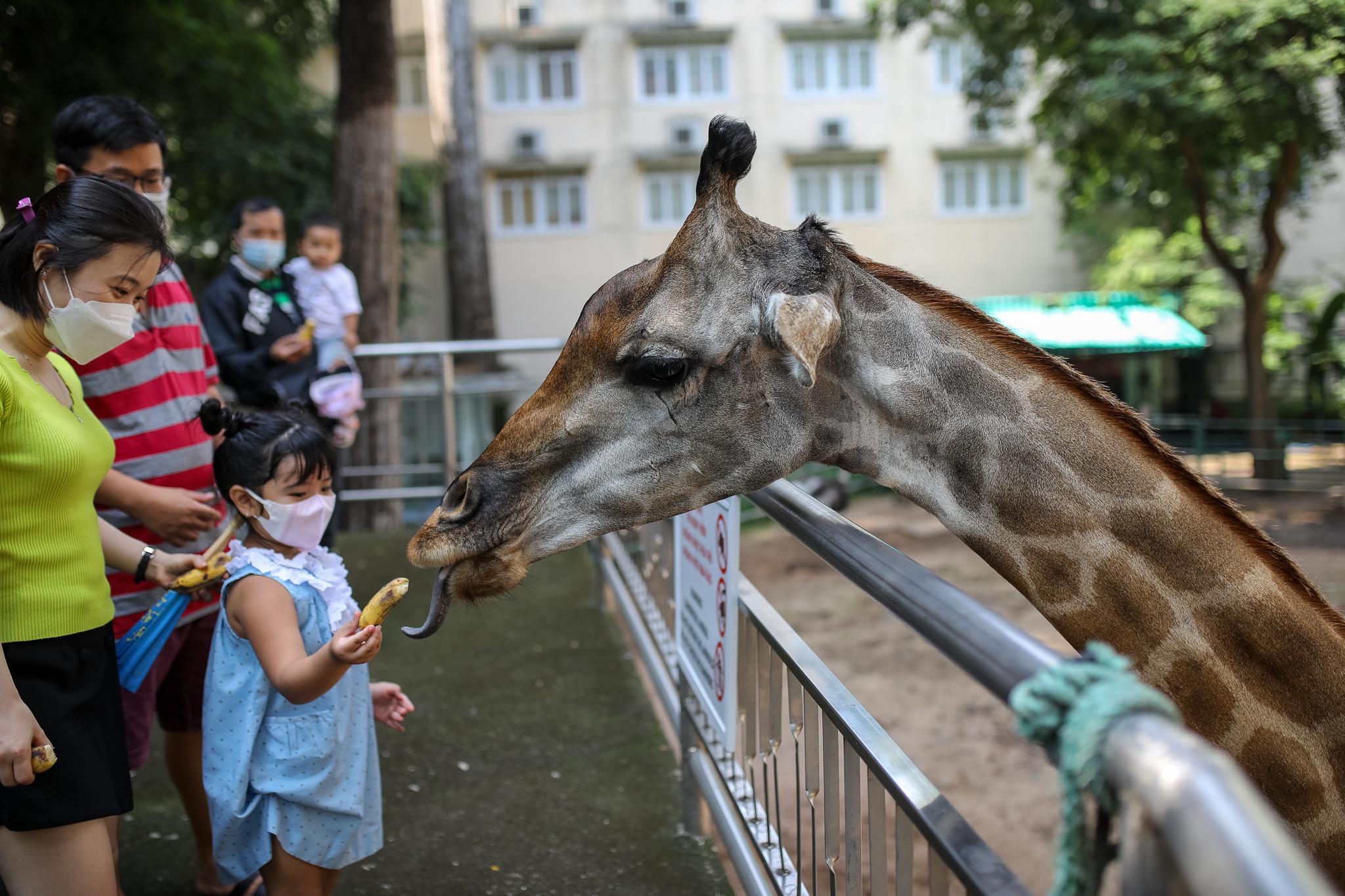 Thao cam vien mo cua tro lai anh 7