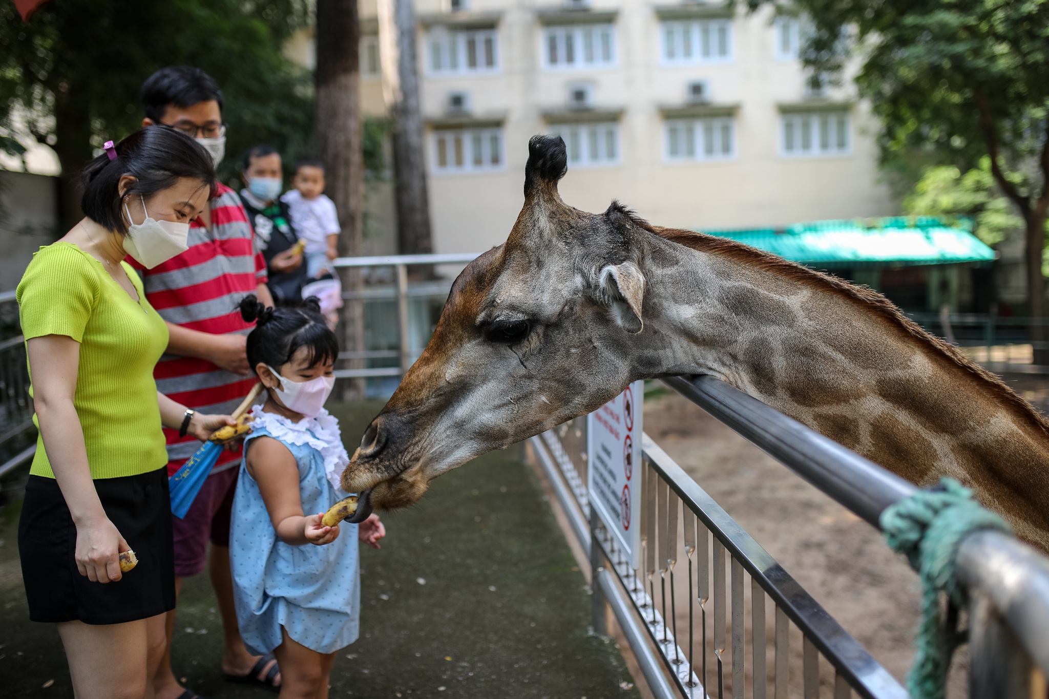 Thao Cam Vien don khach sau gan 6 thang dong cua hinh anh