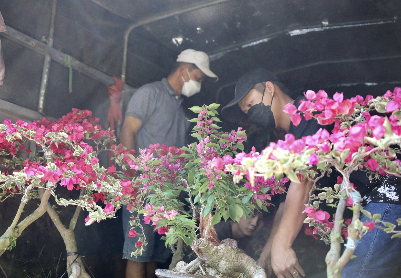 cua dao ban thao ngay cuoi nam anh 7