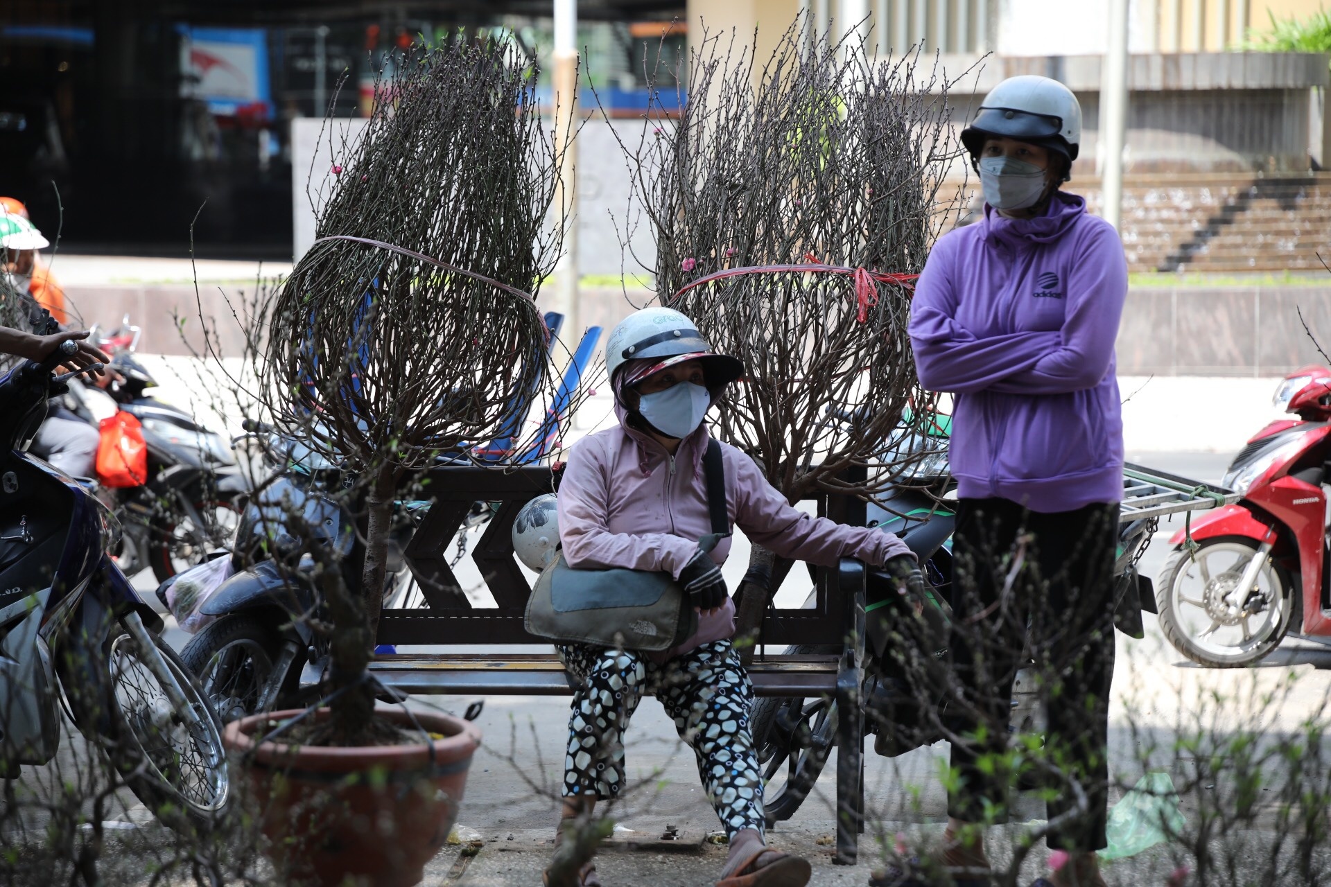 cua dao ban thao ngay cuoi nam anh 6