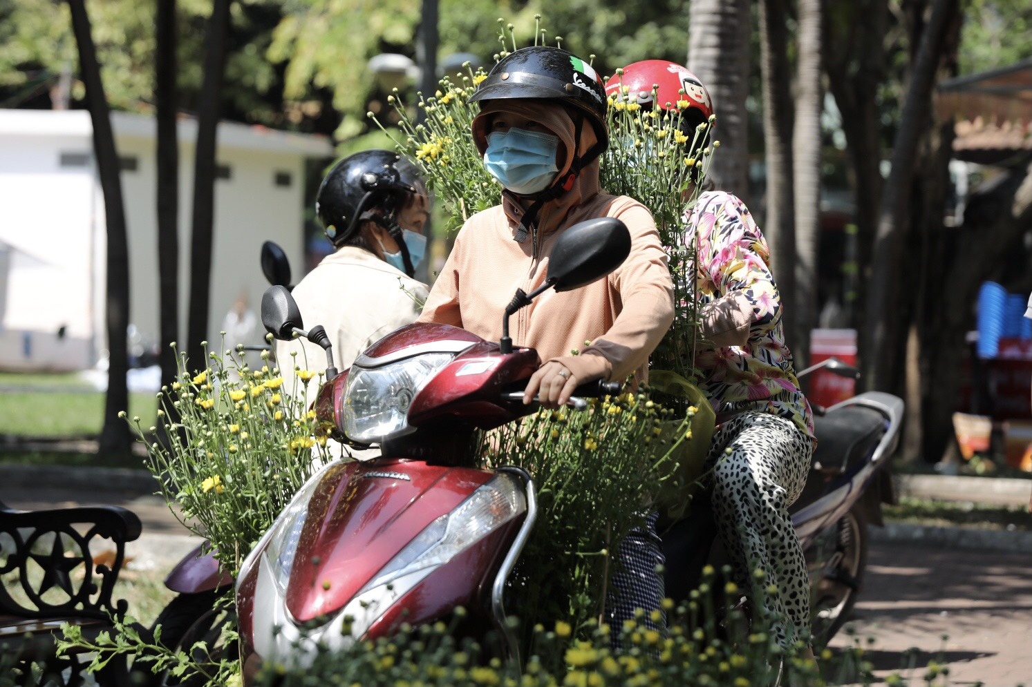 cua dao ban thao ngay cuoi nam anh 8