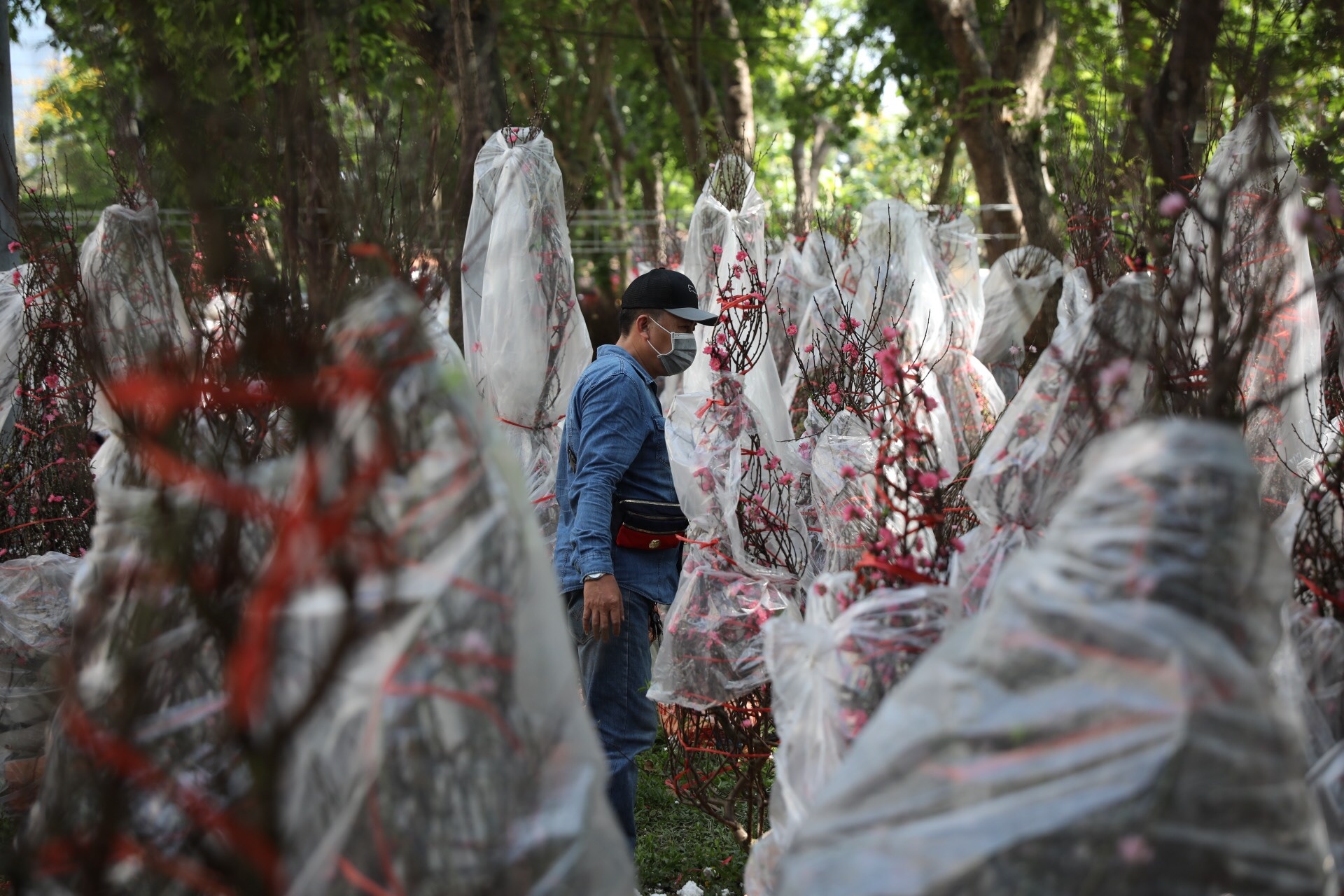 Cua goc dao ban thao 200.000 dong ngay 29 Tet hinh anh