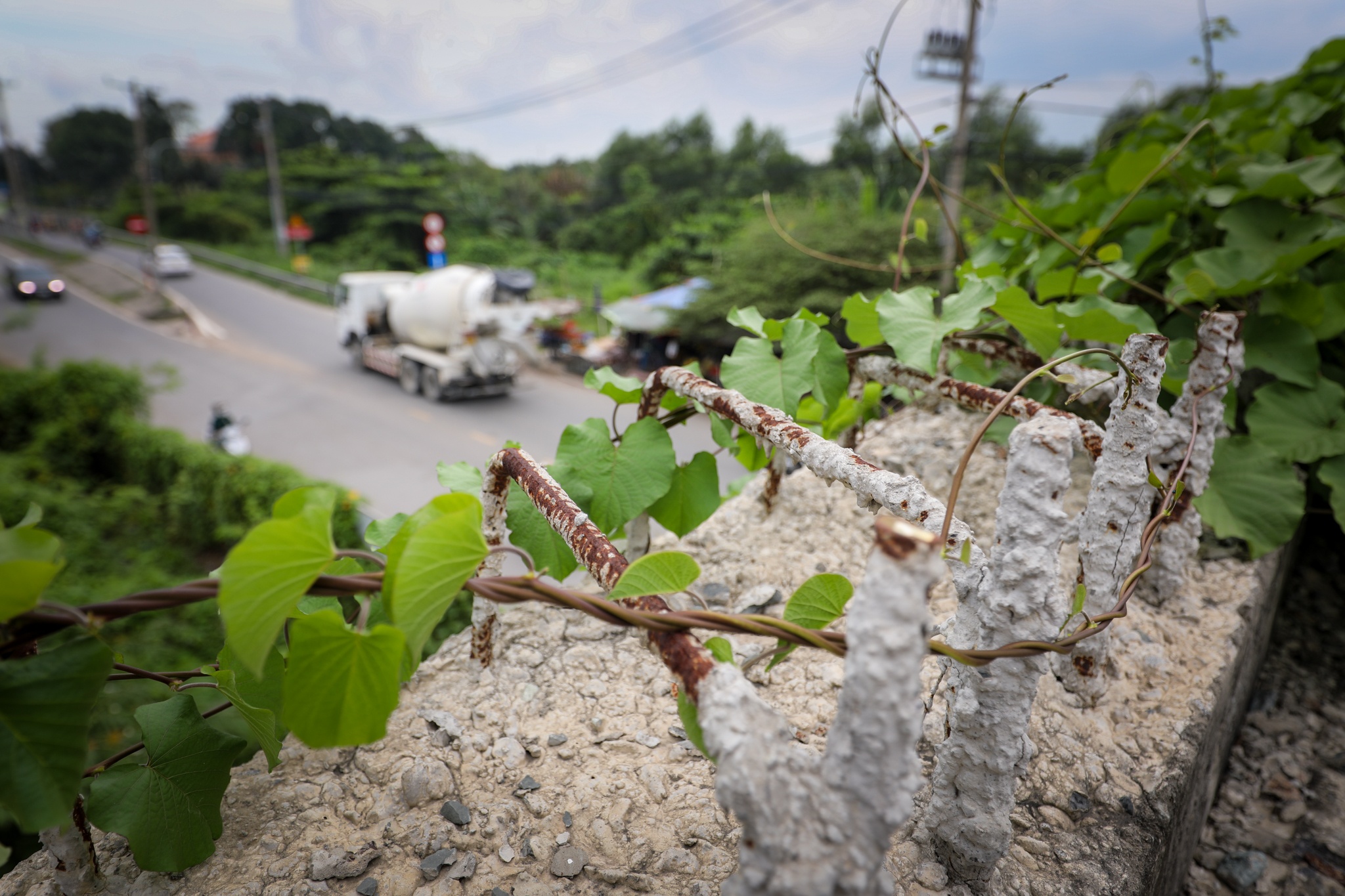 Ba cay cau dang do TP Thu Duc anh 10