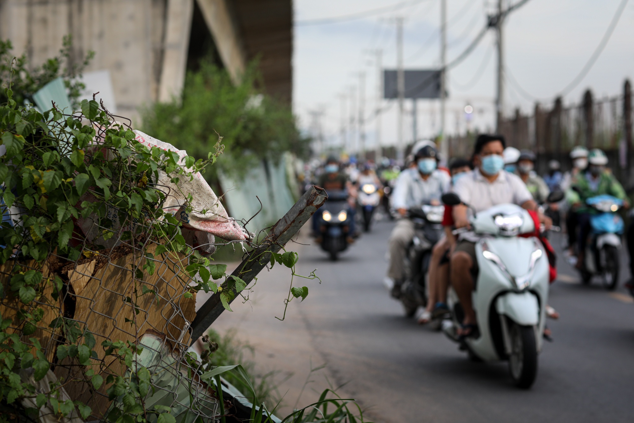 Ba cay cau dang do TP Thu Duc anh 6