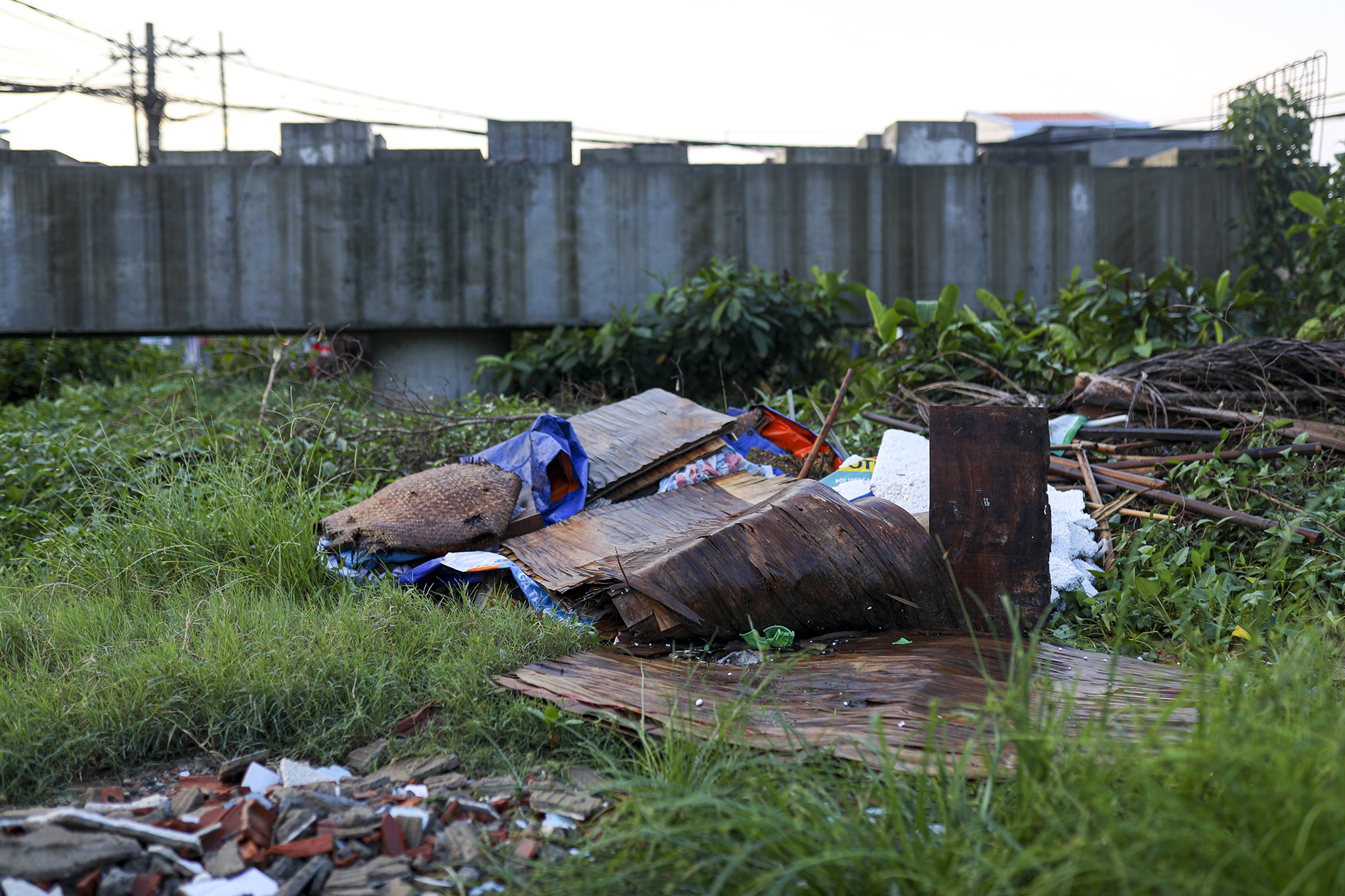 cau long kieng anh 8