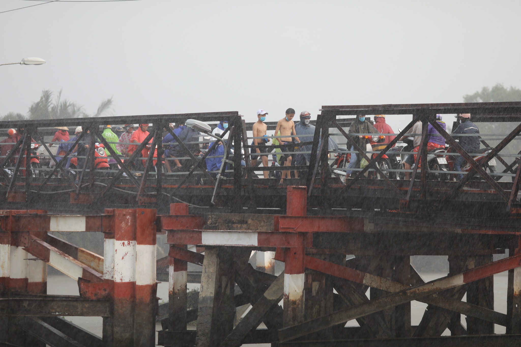 cau long kieng anh 6