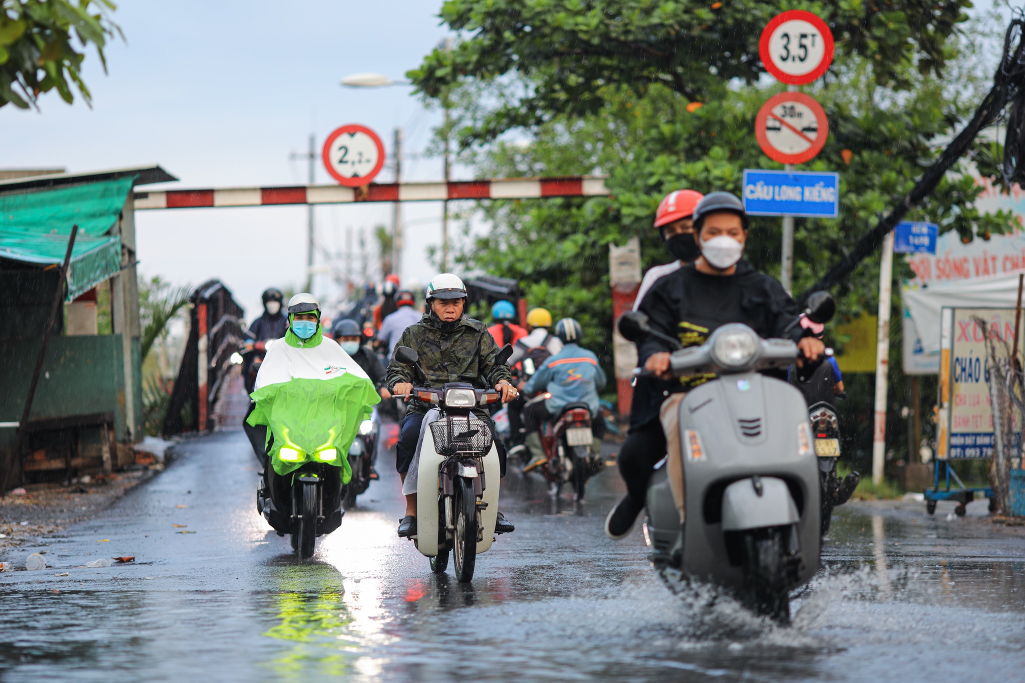 cau long kieng anh 7