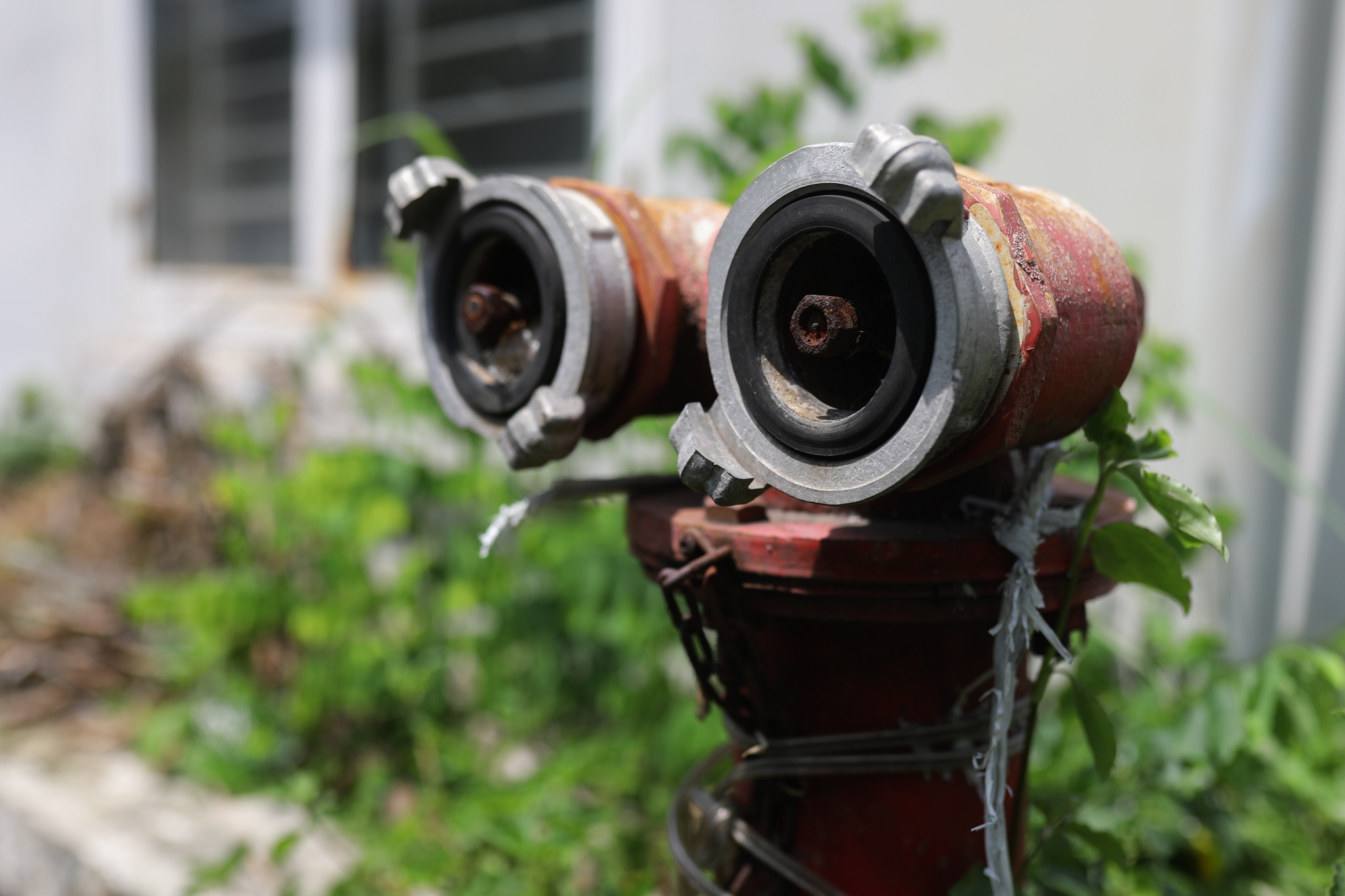 Hang nghin can ho bo hoang o TP.HCM anh 13