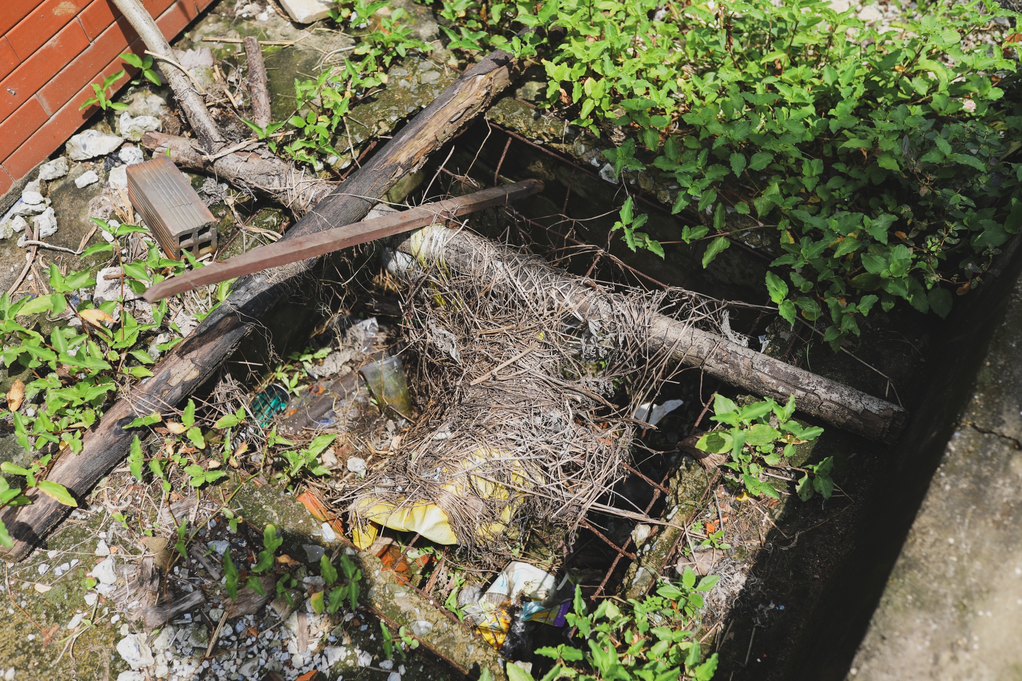 Hang nghin can ho bo hoang o TP.HCM anh 6