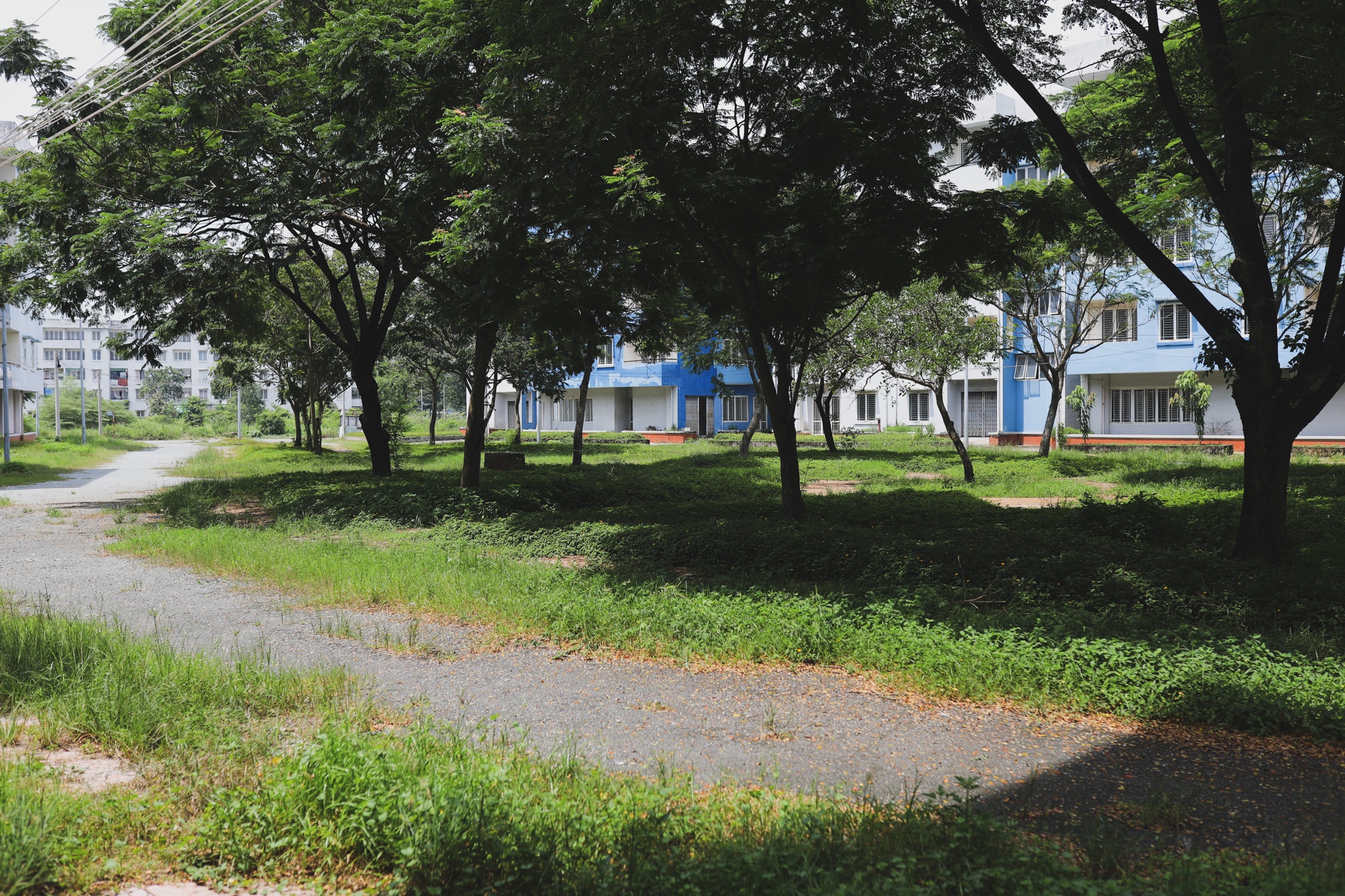 Hang nghin can ho bo hoang o TP.HCM anh 8