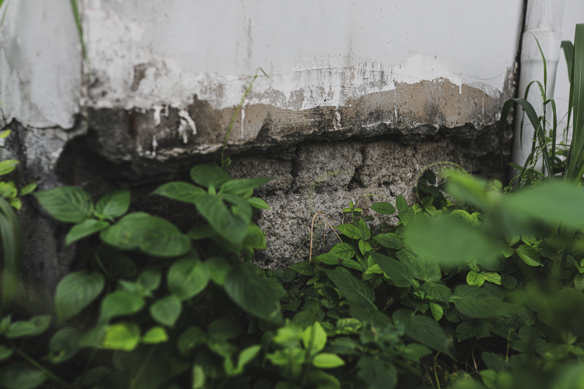 Hang nghin can ho bo hoang o TP.HCM anh 10