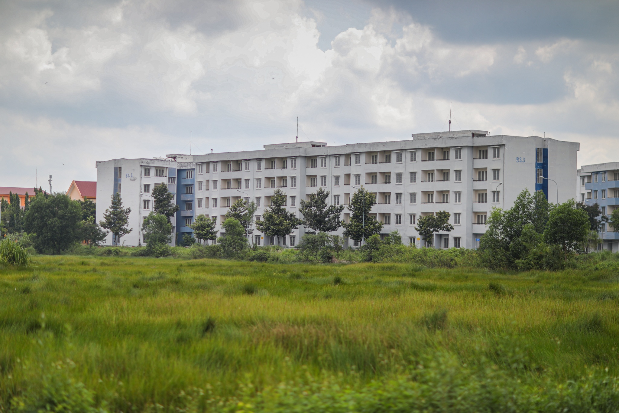 Hang nghin can ho bo hoang o TP.HCM anh 3