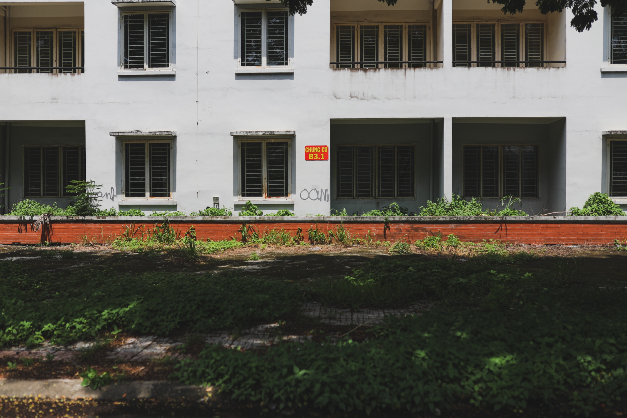 Hang nghin can ho bo hoang o TP.HCM anh 5