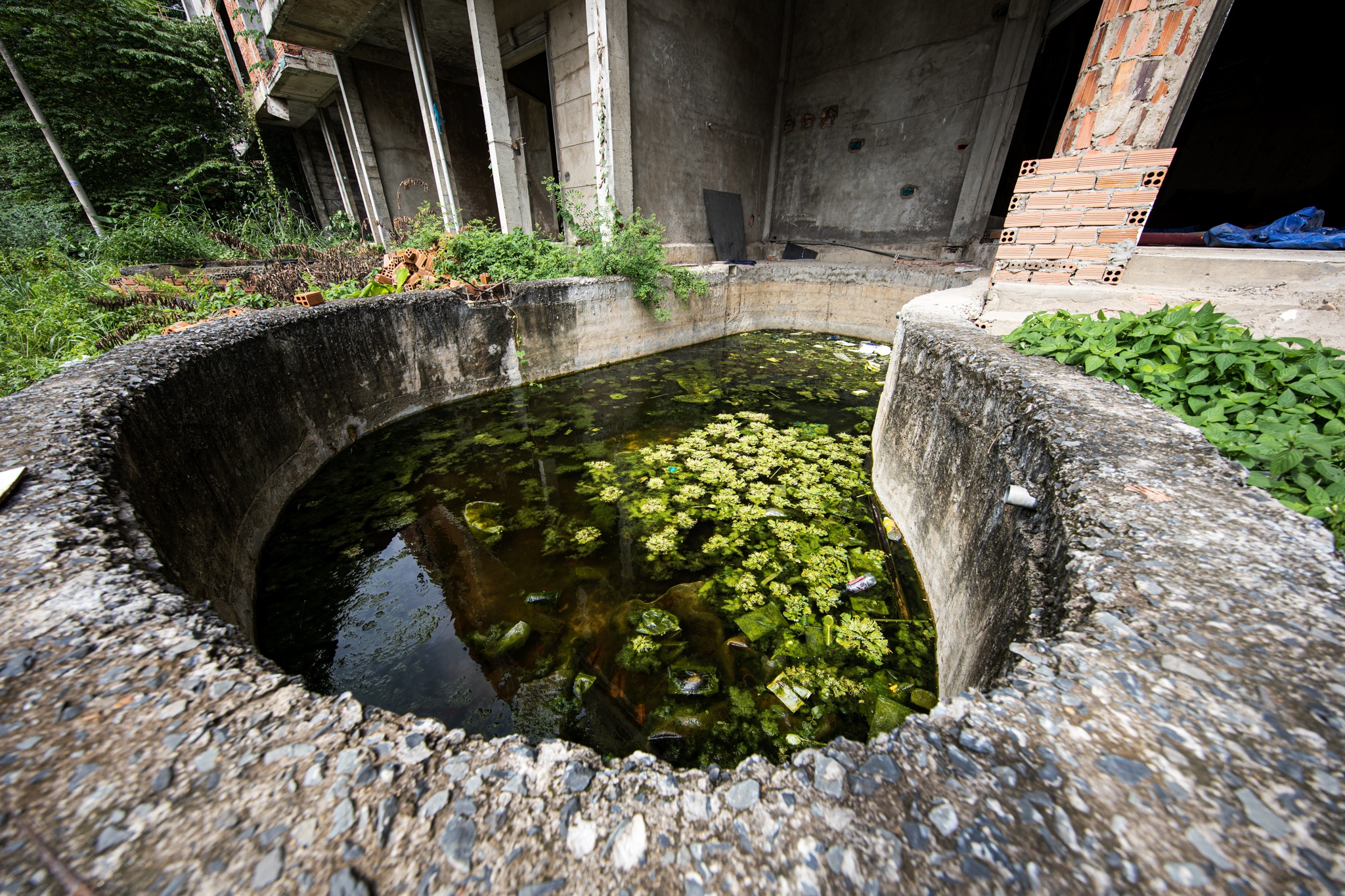 Biet thu tien ty bo hoang TPHCM anh 10