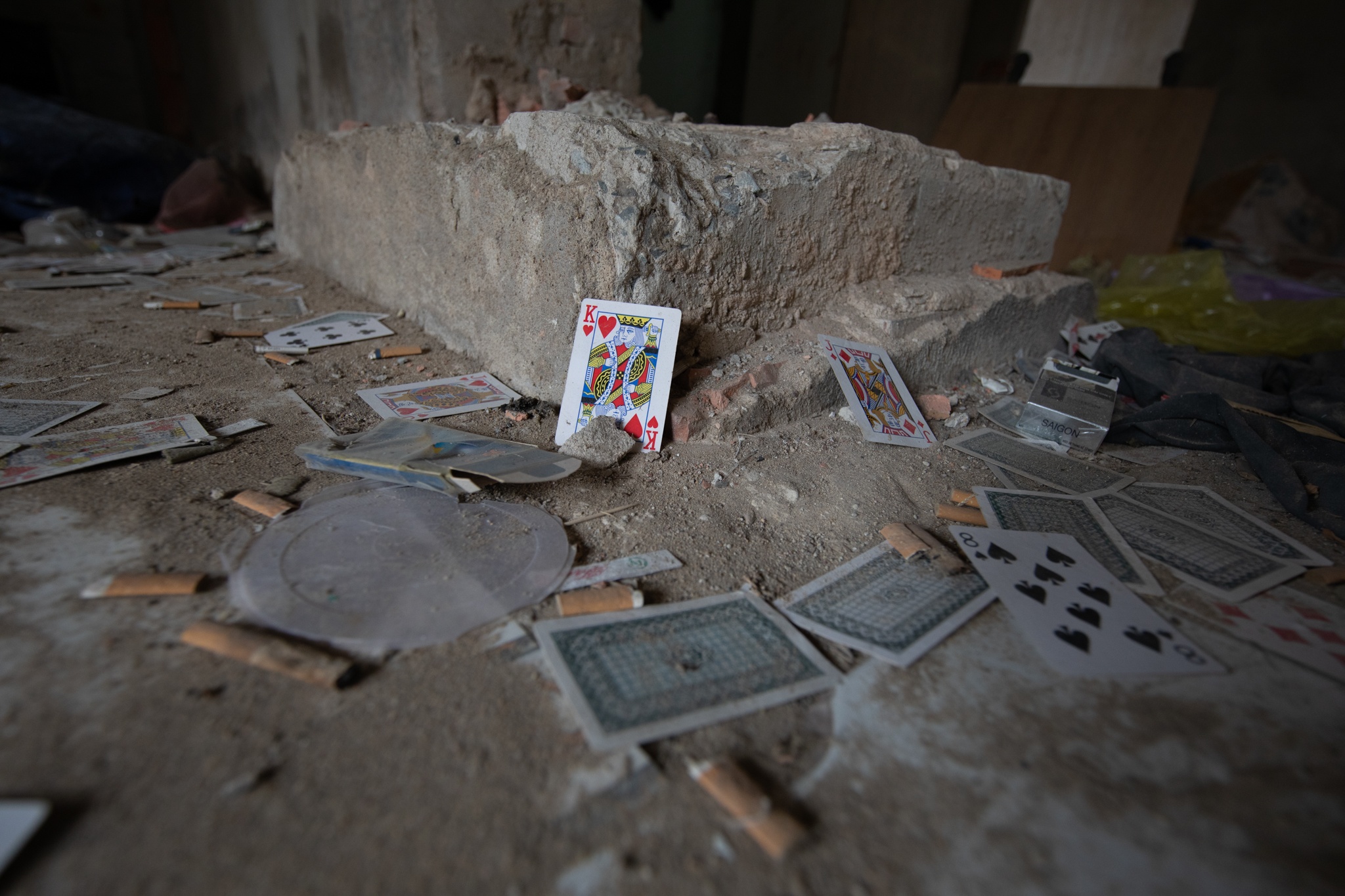 Biet thu tien ty bo hoang TPHCM anh 11