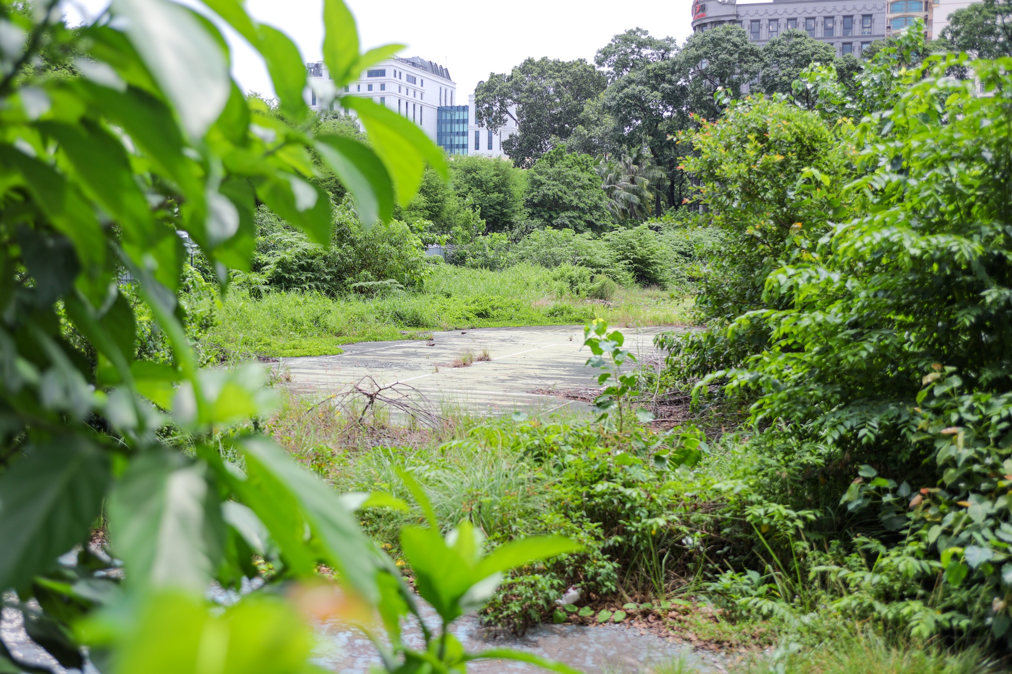 TP.HCM thieu trung tam the thao anh 5