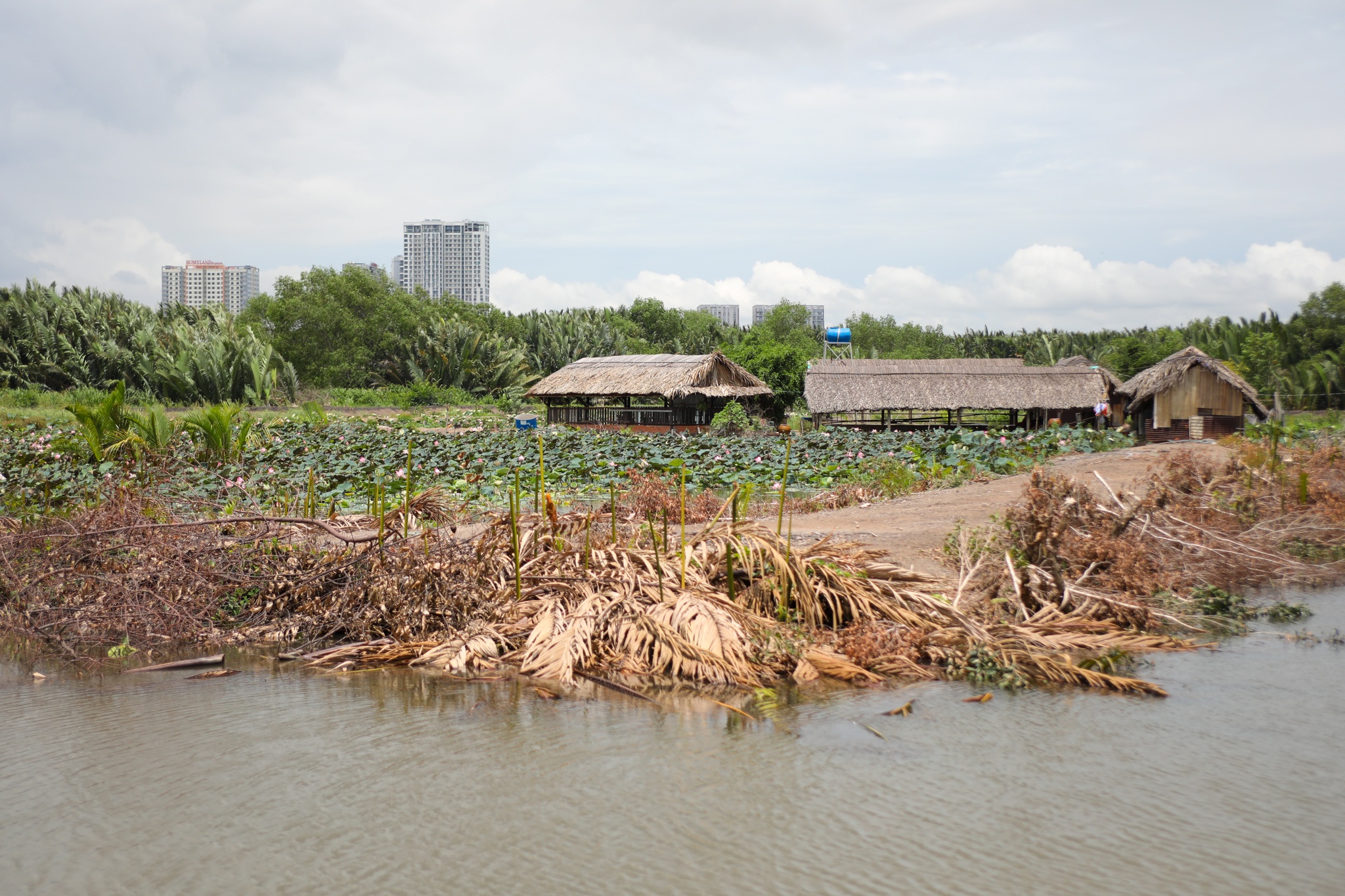 TP.HCM thieu trung tam TDTT anh 10