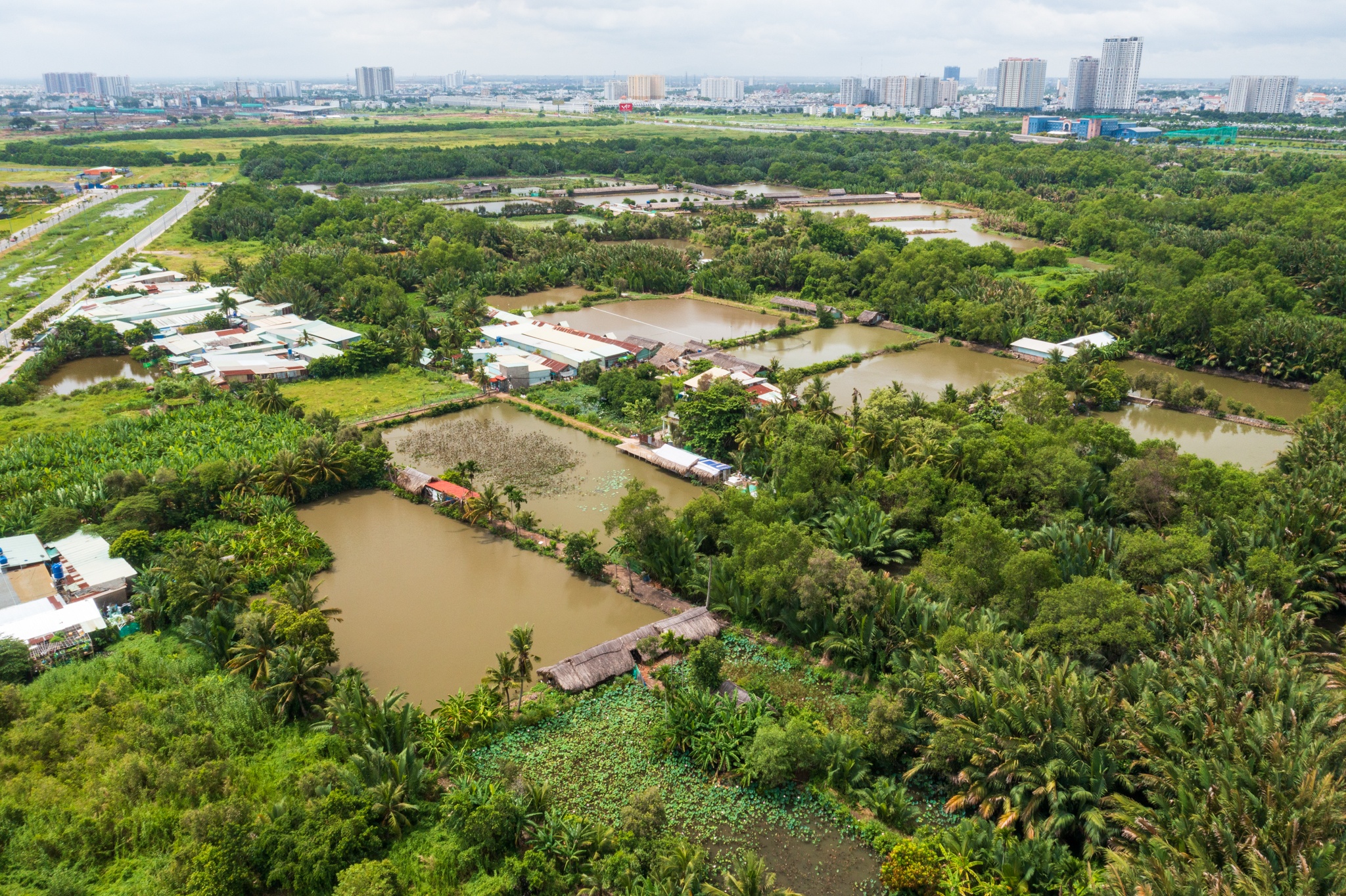 TP.HCM thieu trung tam TDTT anh 9