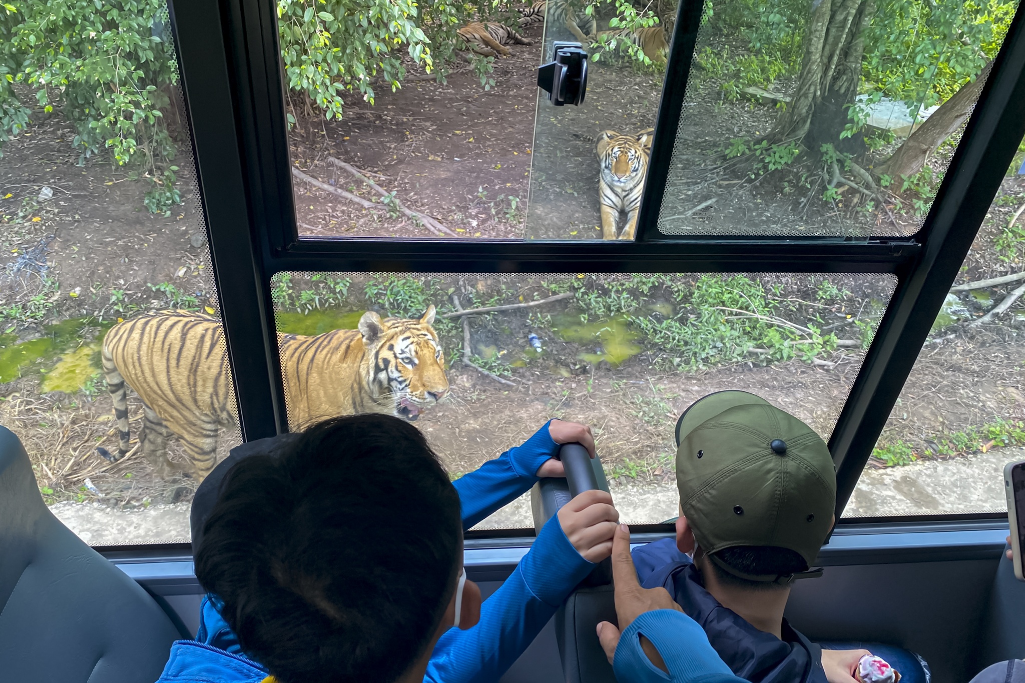 Cung van hoa thieu nhi anh 11