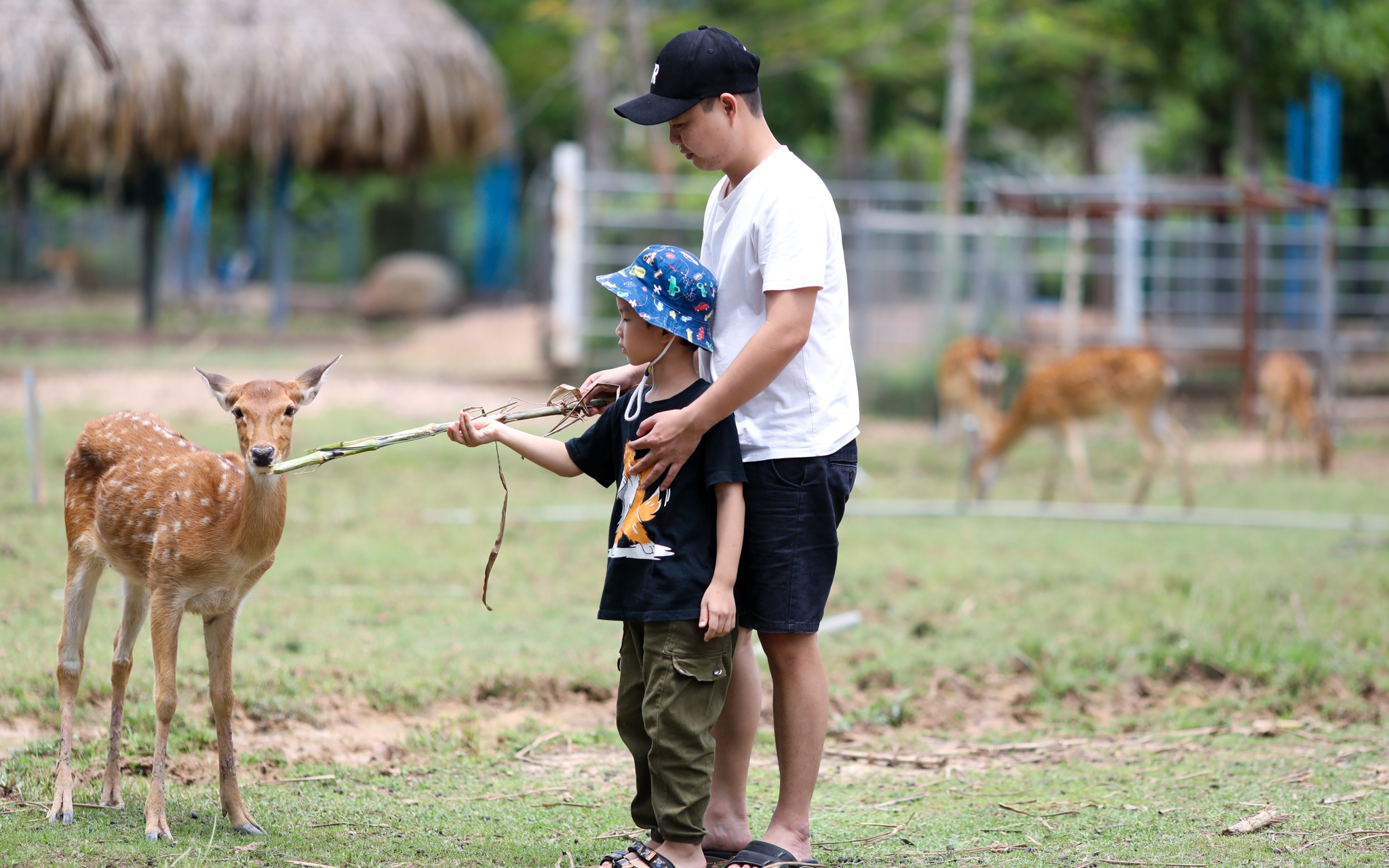 Cung van hoa thieu nhi anh 10