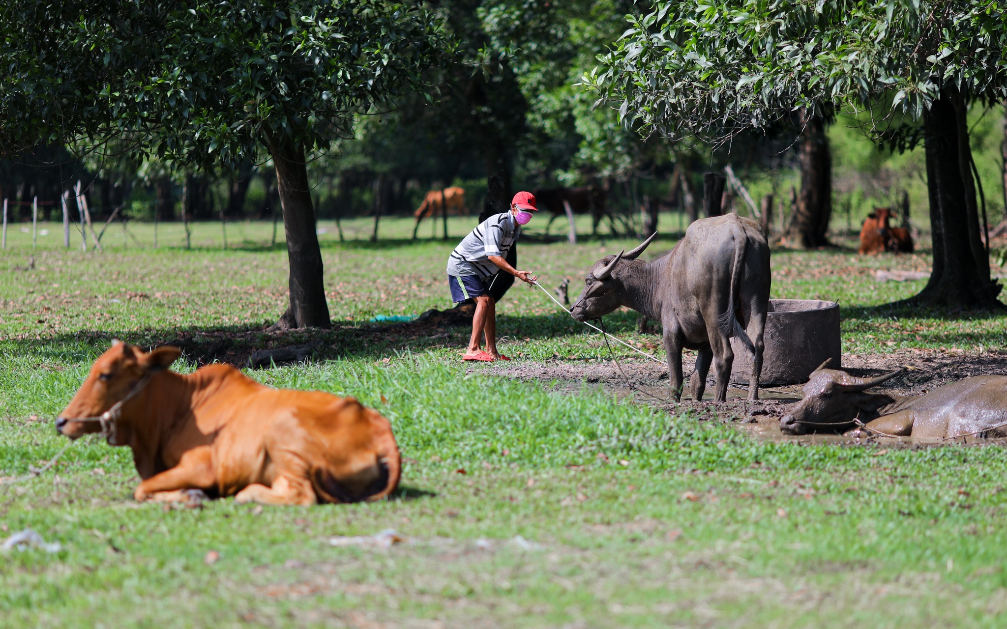 Cung van hoa thieu nhi anh 13